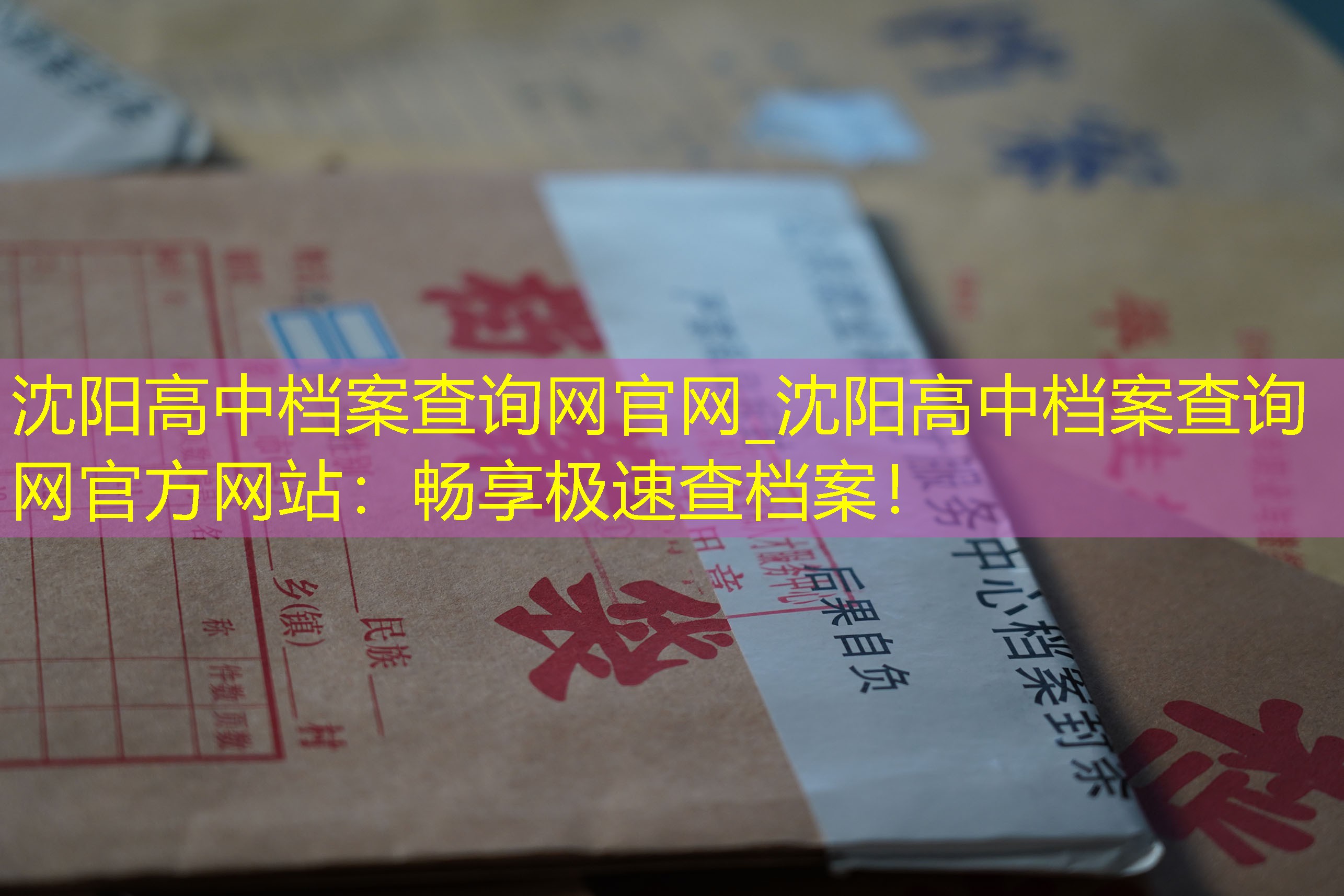 档案查询