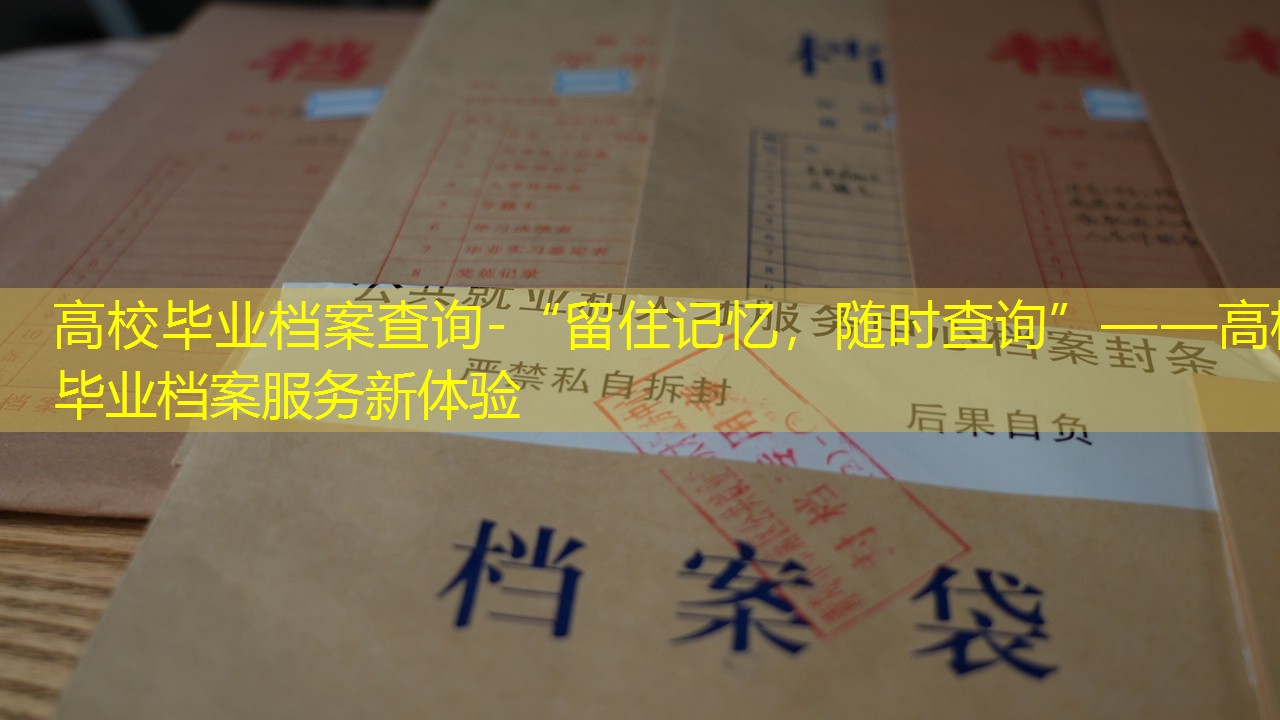 档案查询