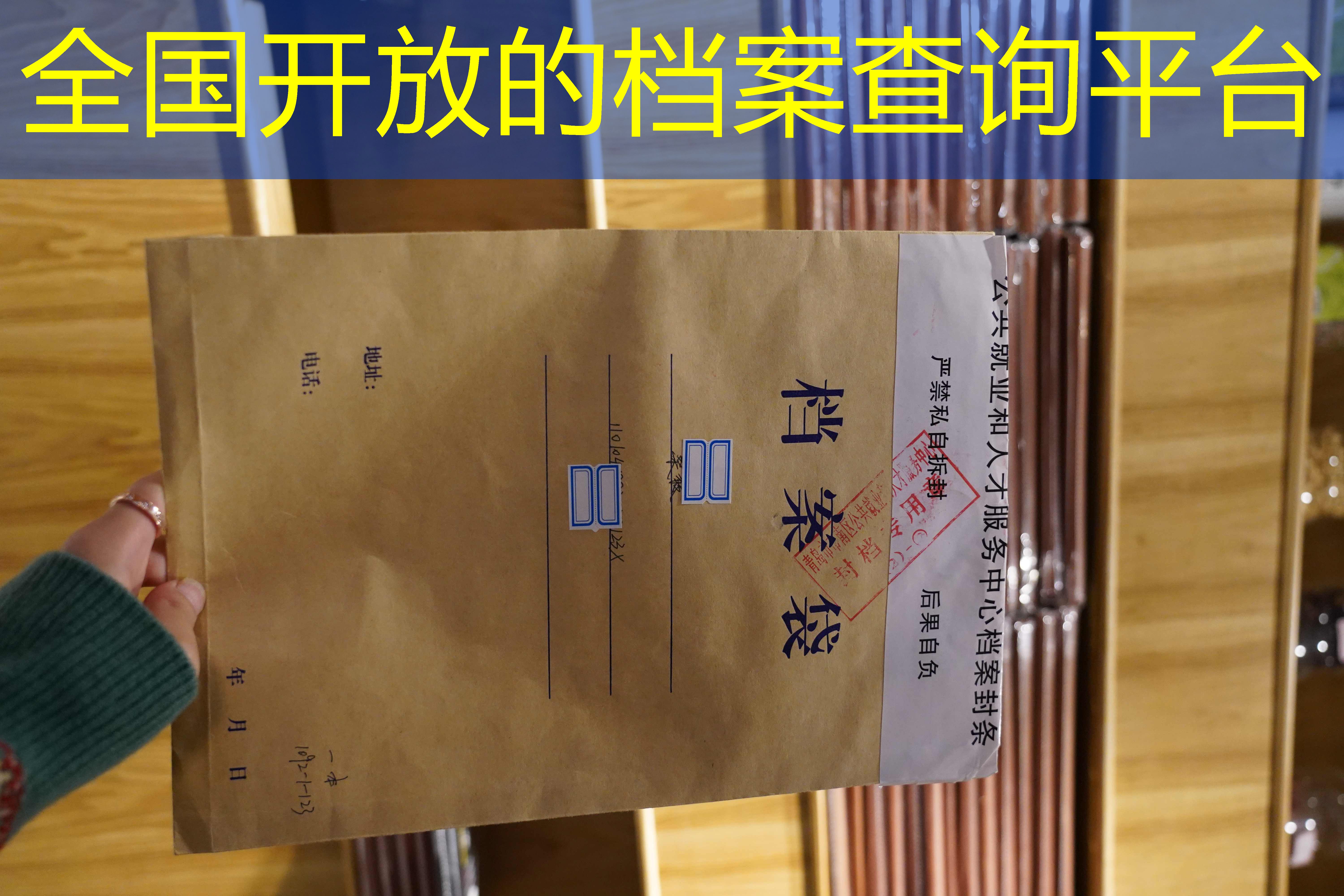 档案查询