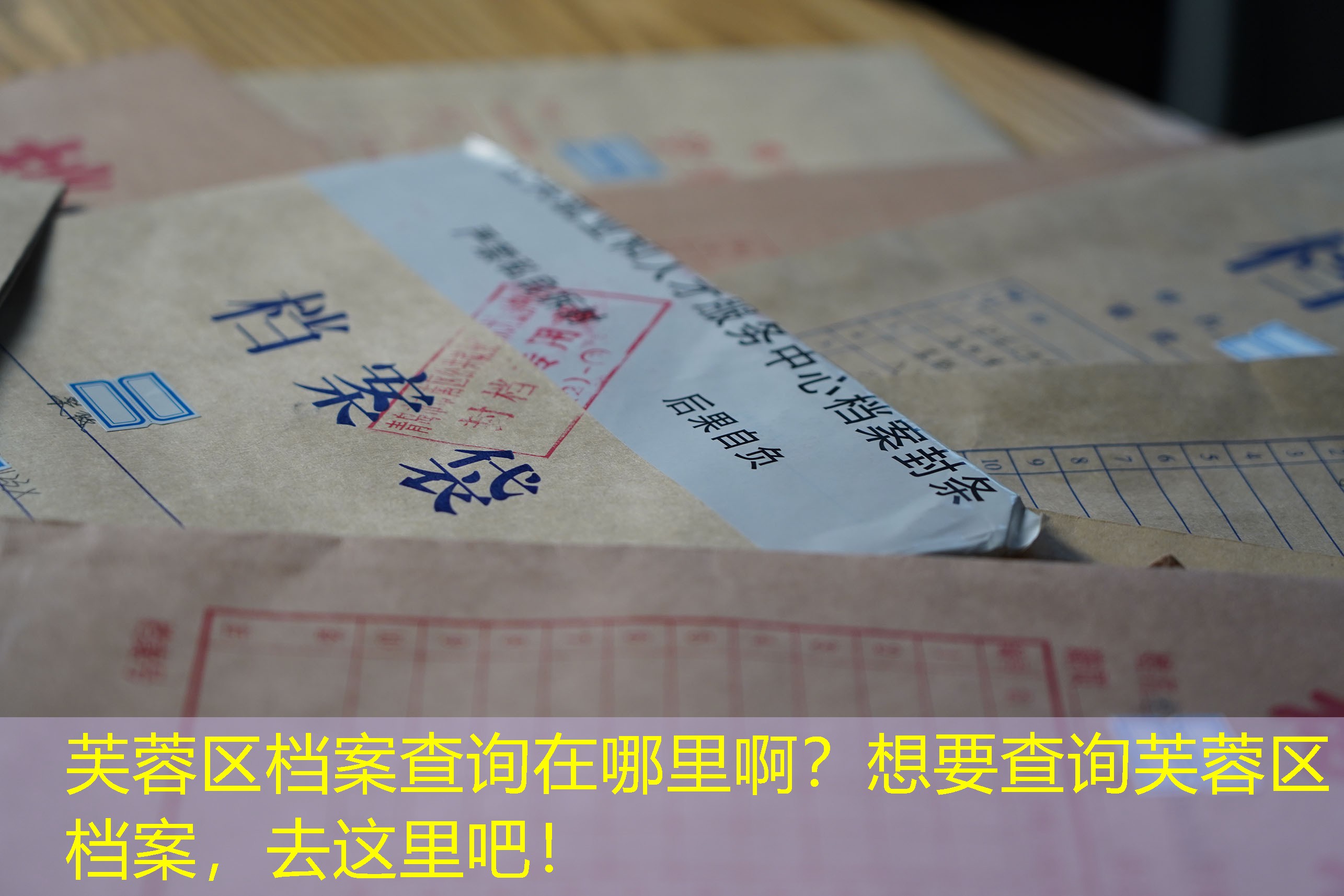 档案查询