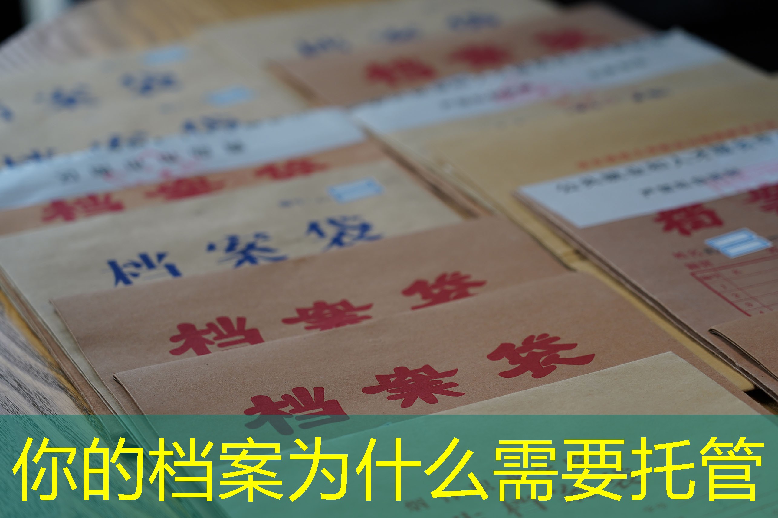 档案查询
