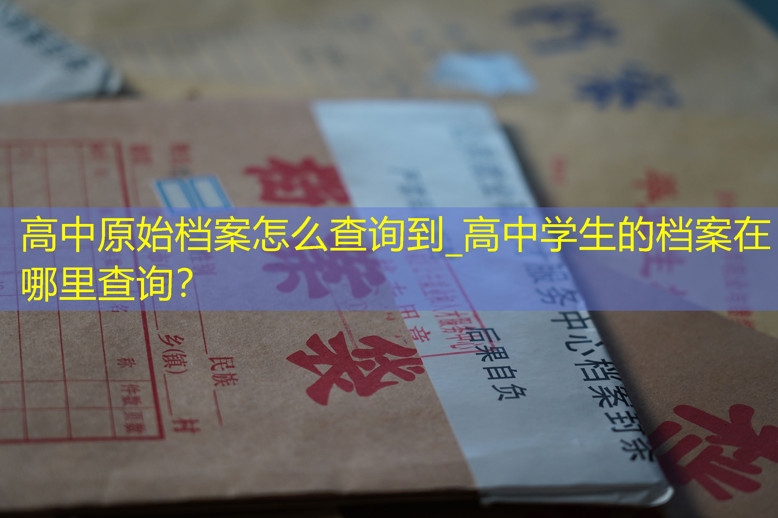 档案查询