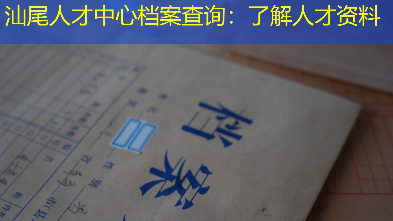 档案查询