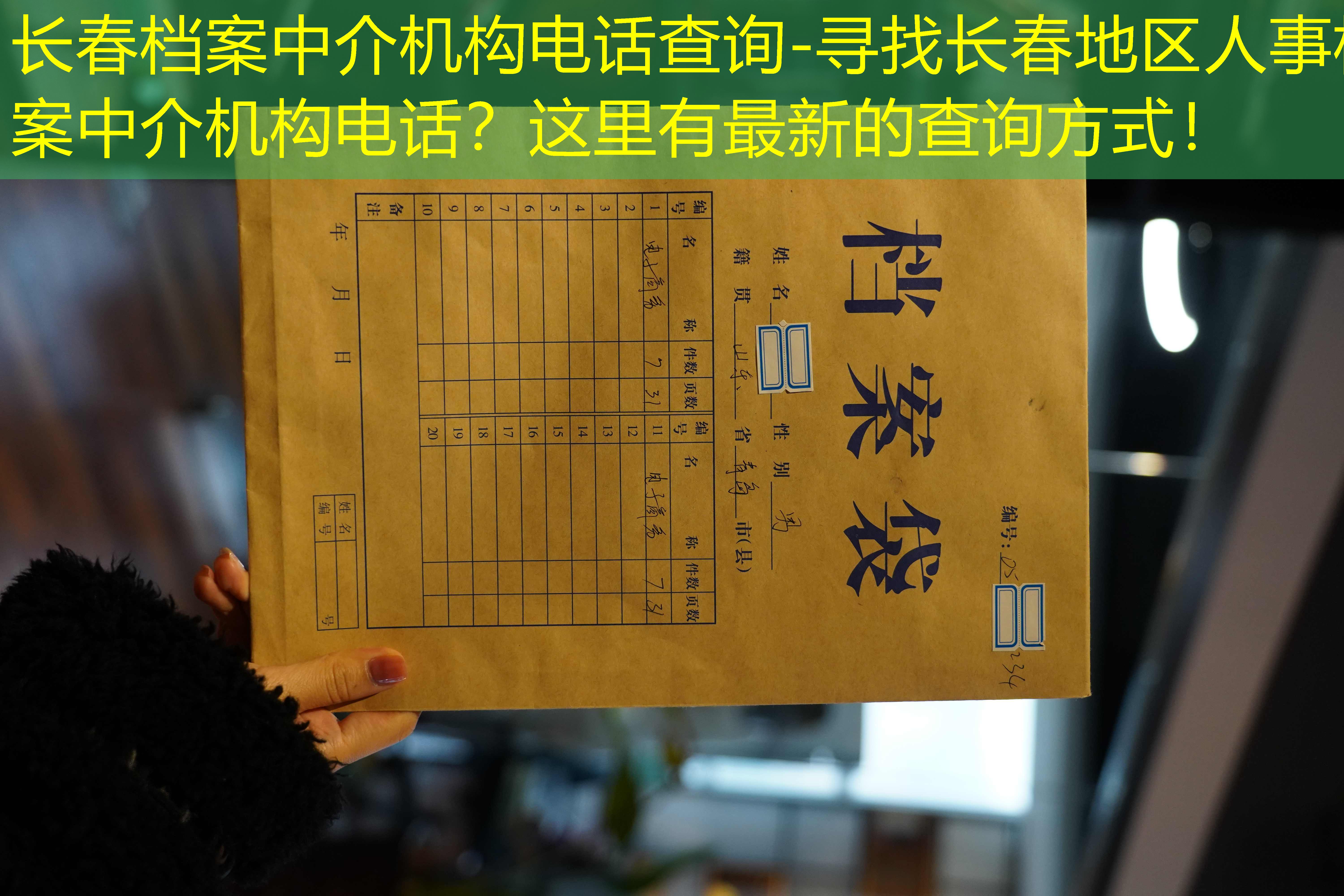 档案查询