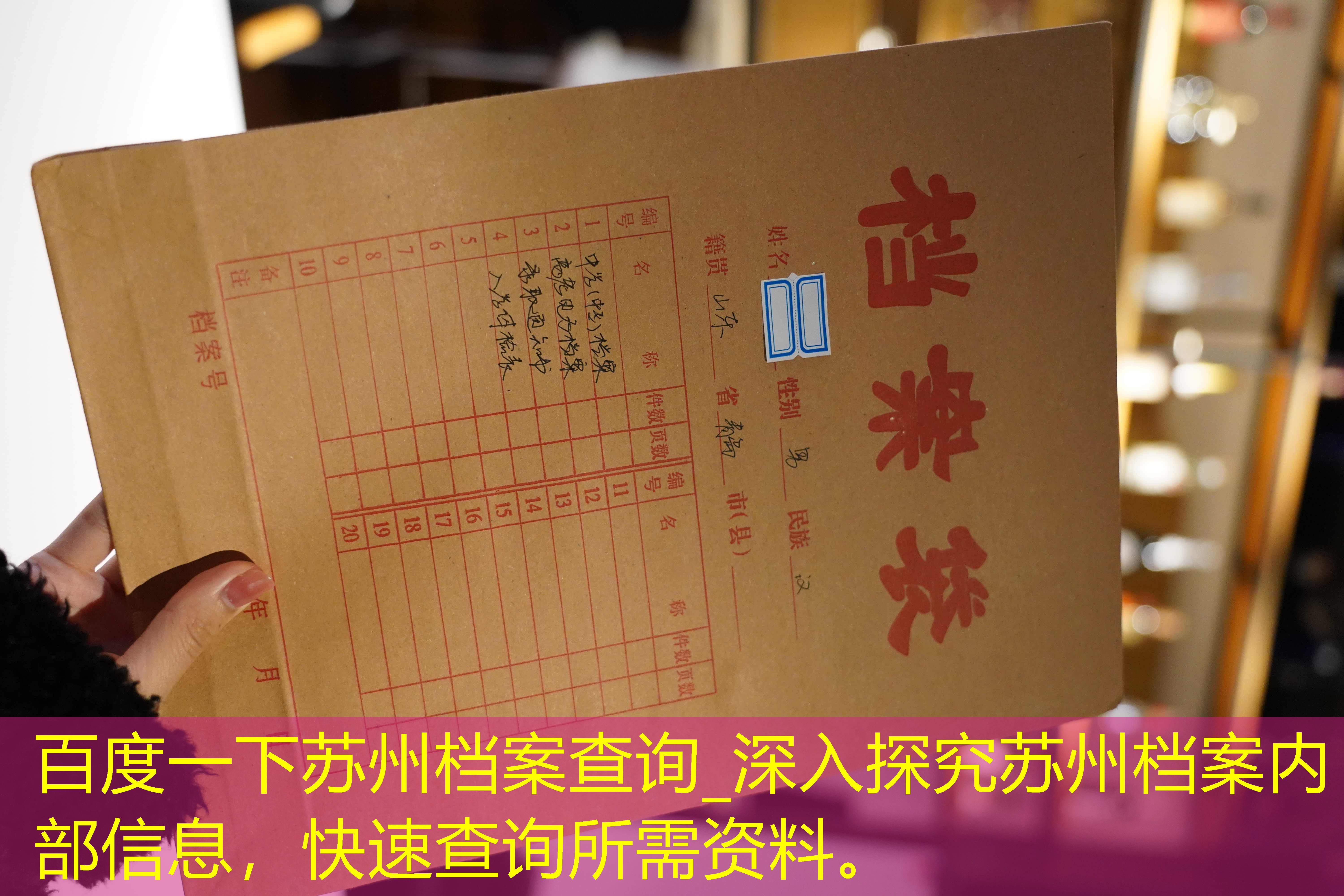 档案查询