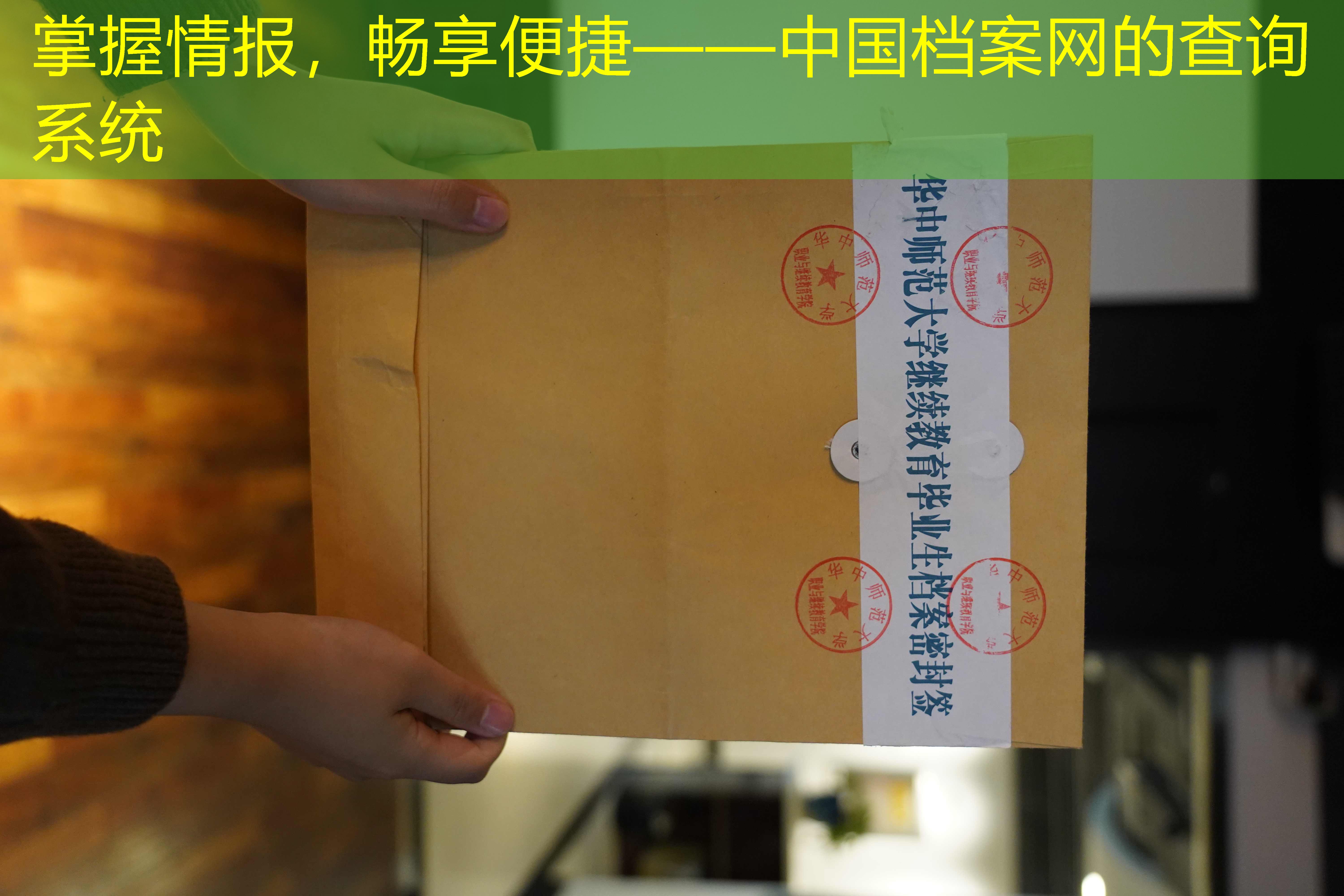 档案查询