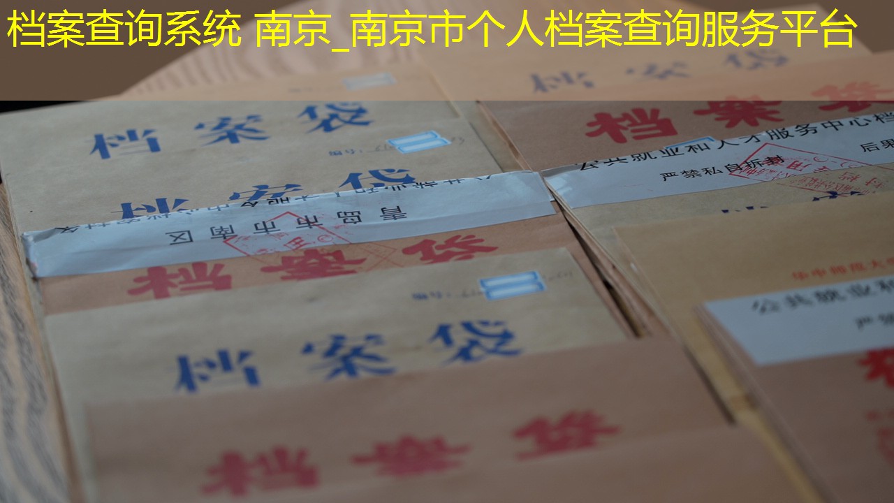 档案查询