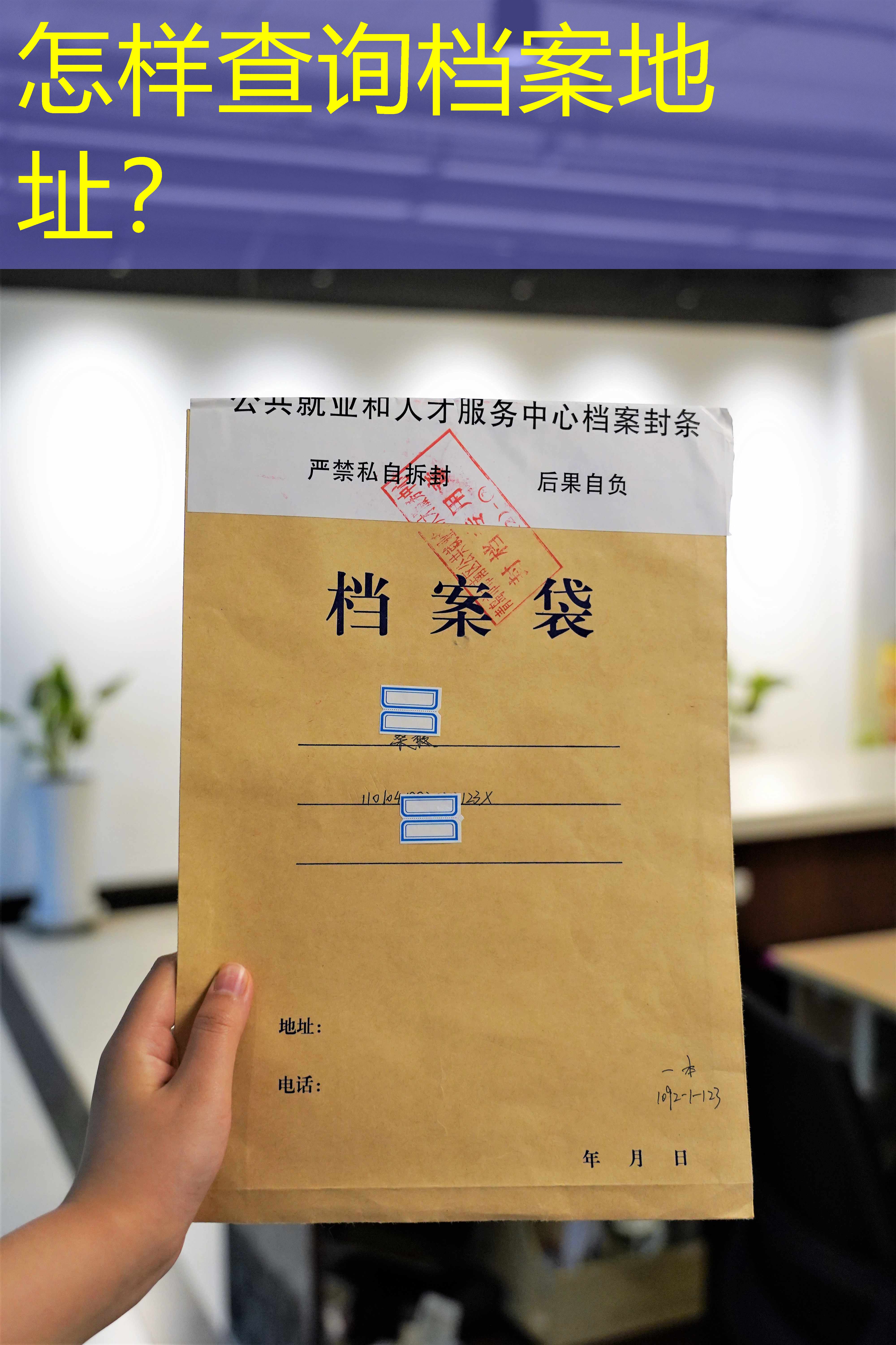 档案查询