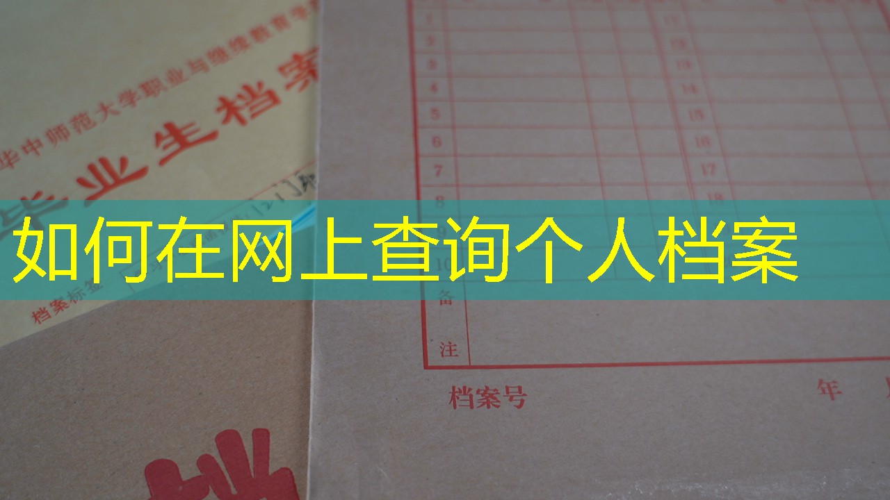 档案查询
