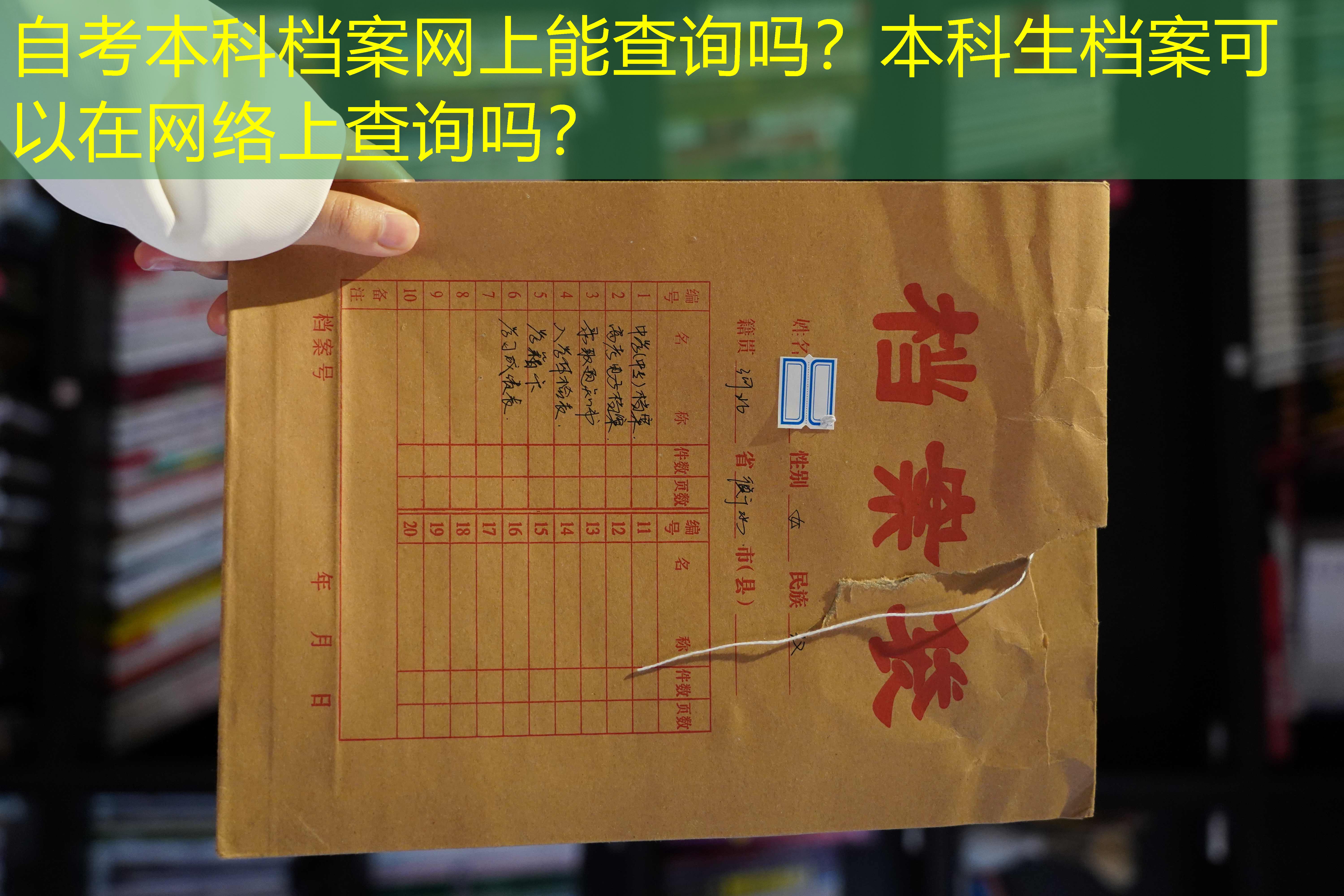 档案查询
