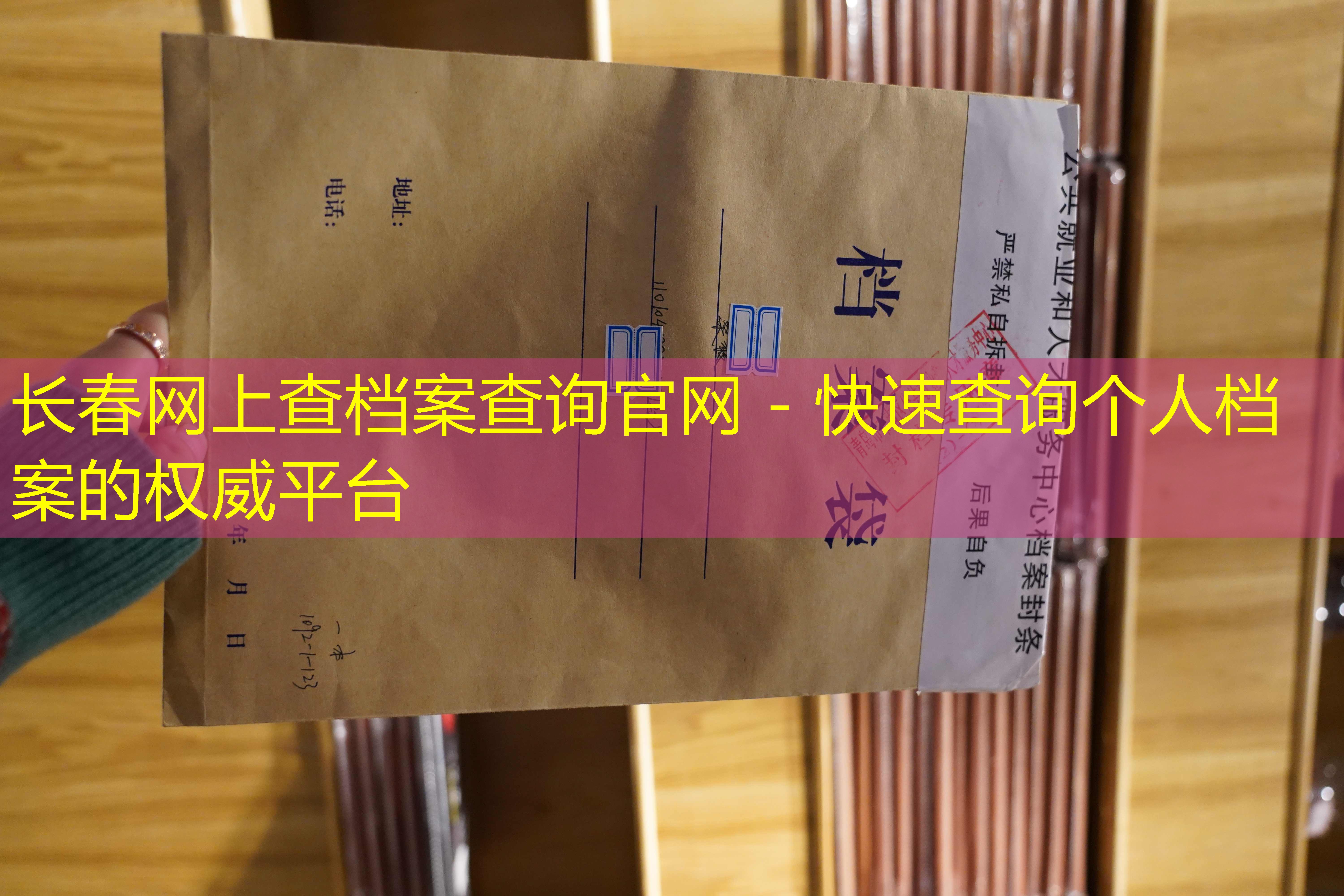 档案查询