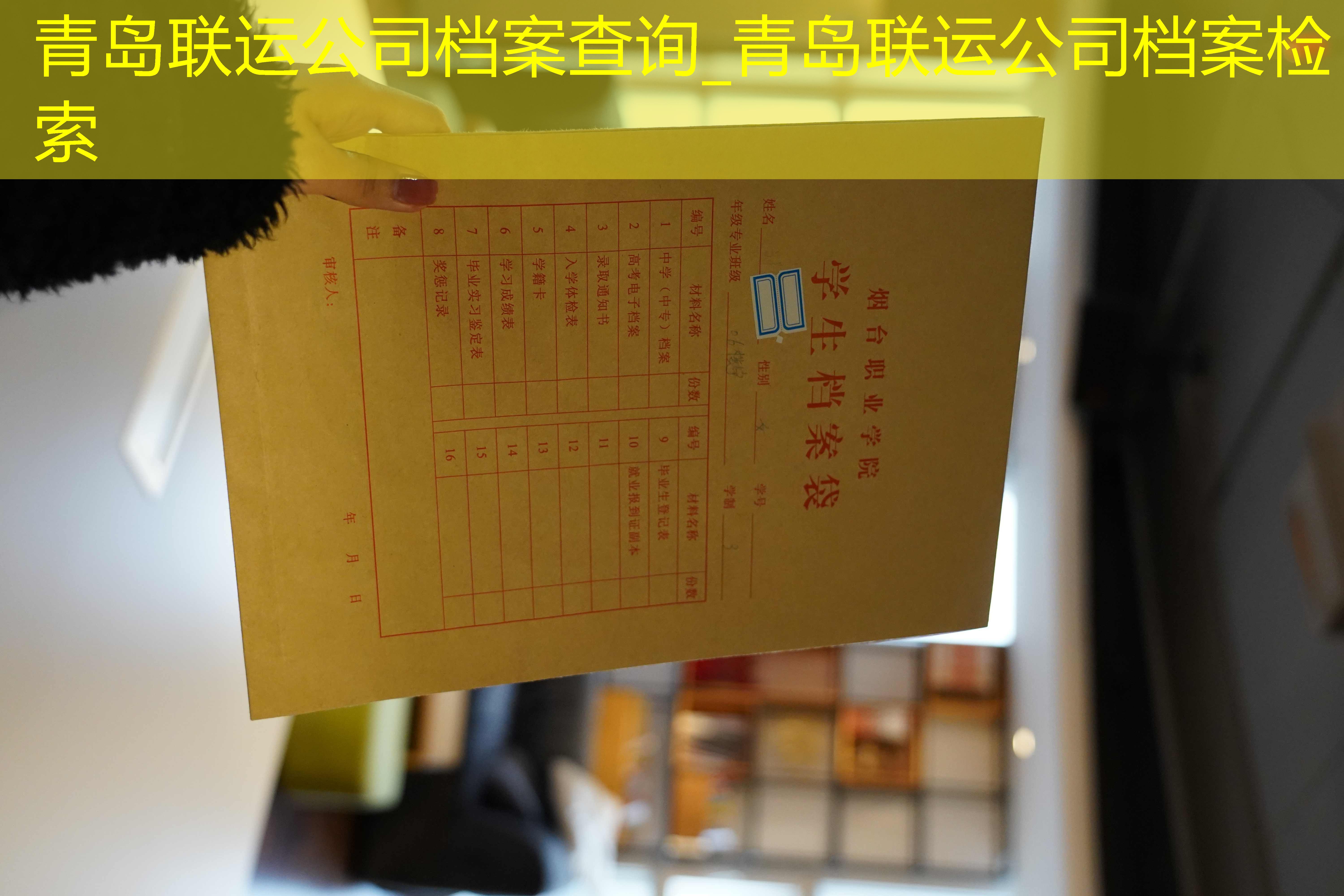 档案查询
