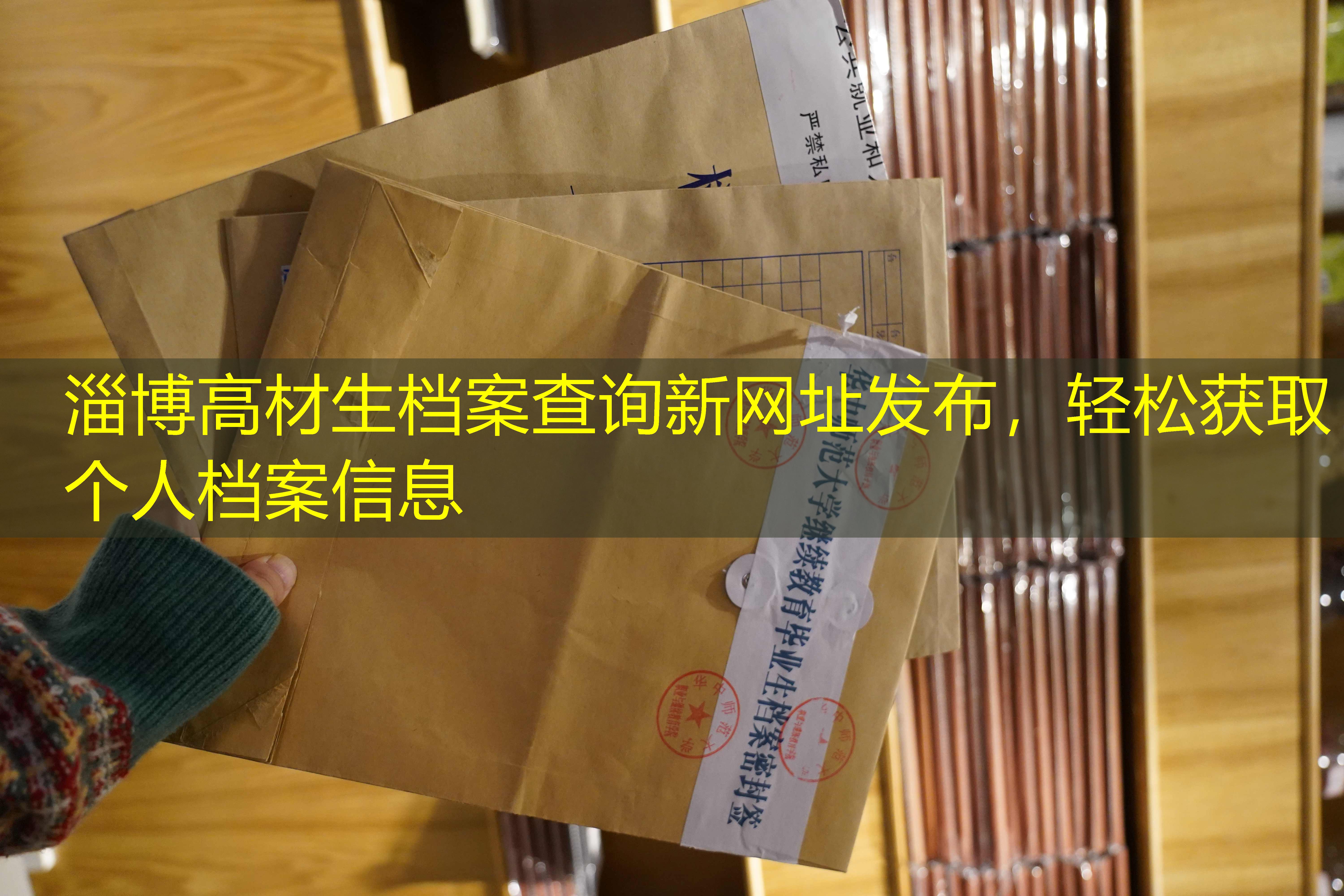 档案查询