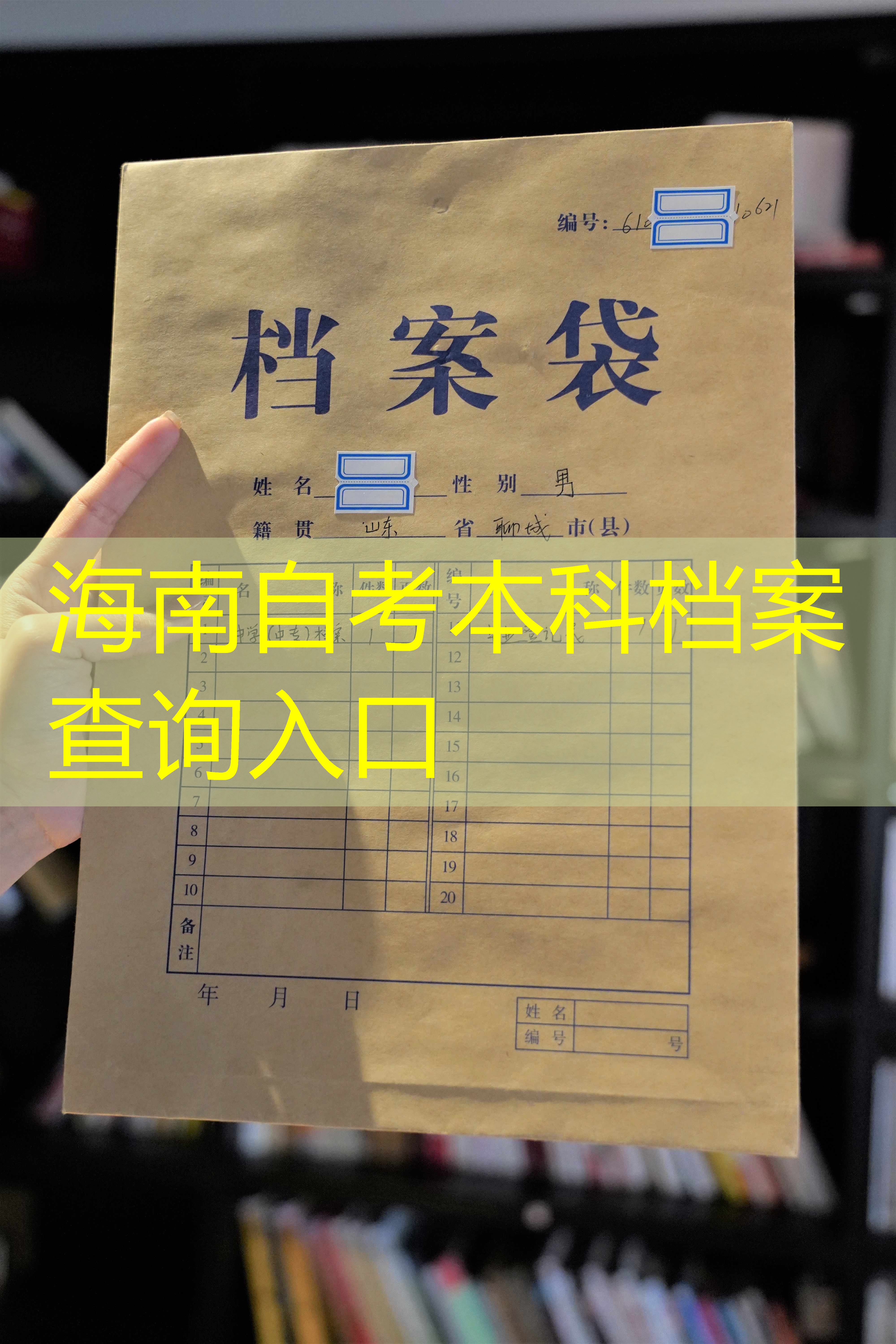 档案查询