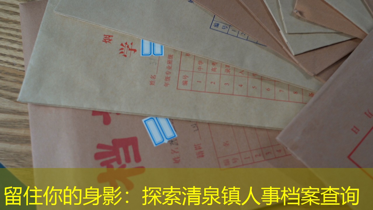 档案查询