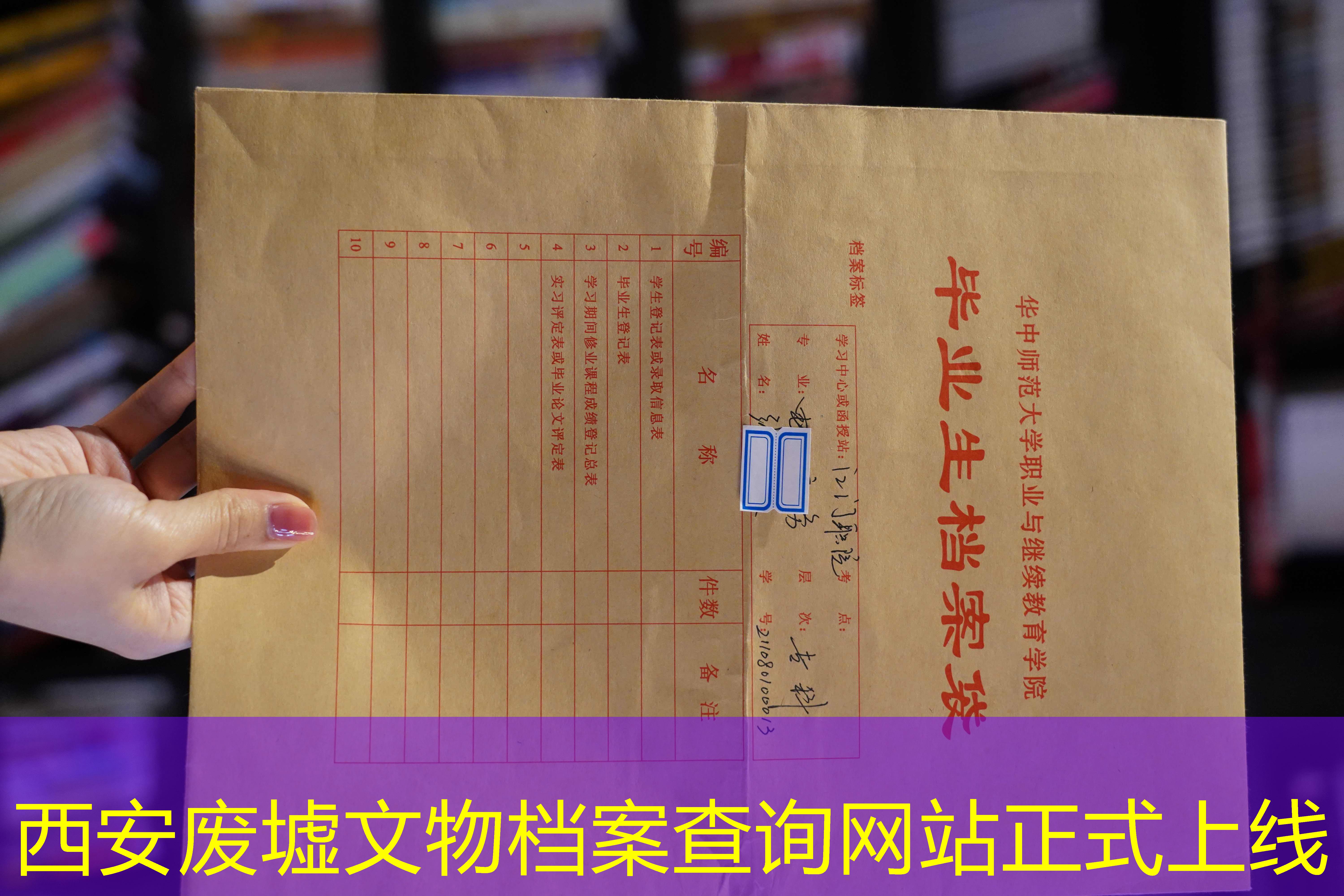 档案查询
