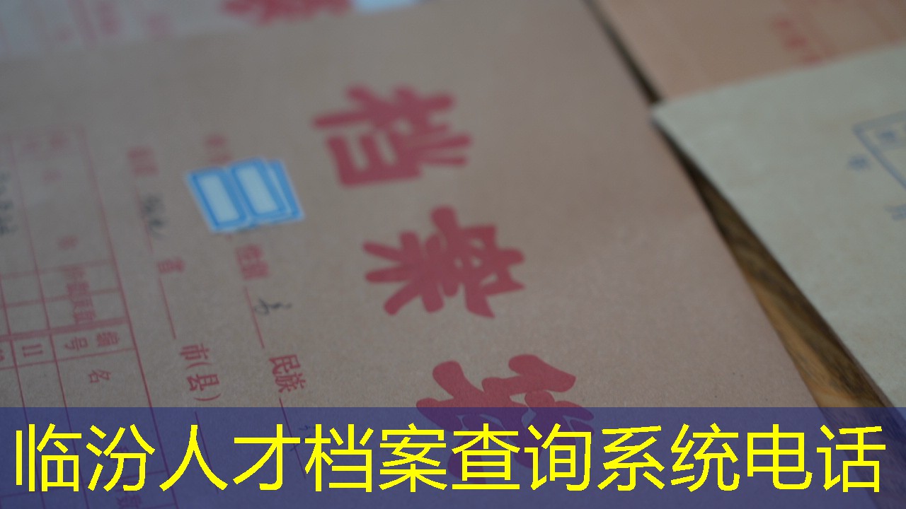 档案查询