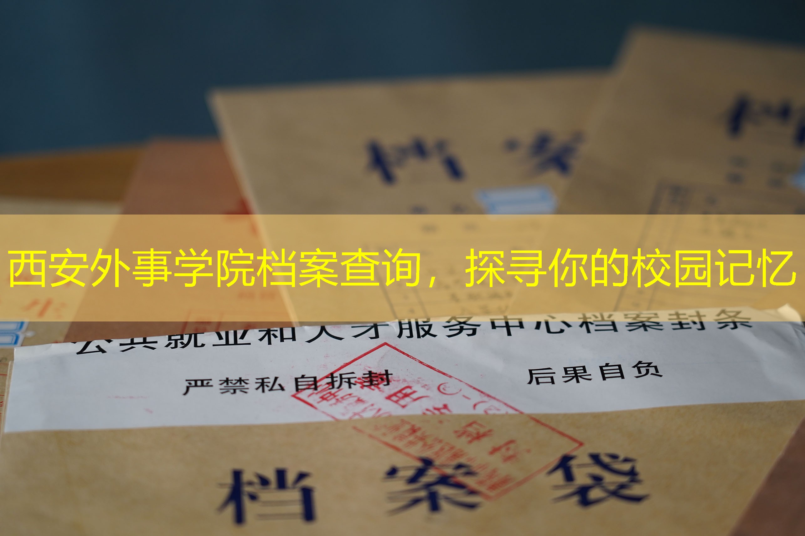 档案查询