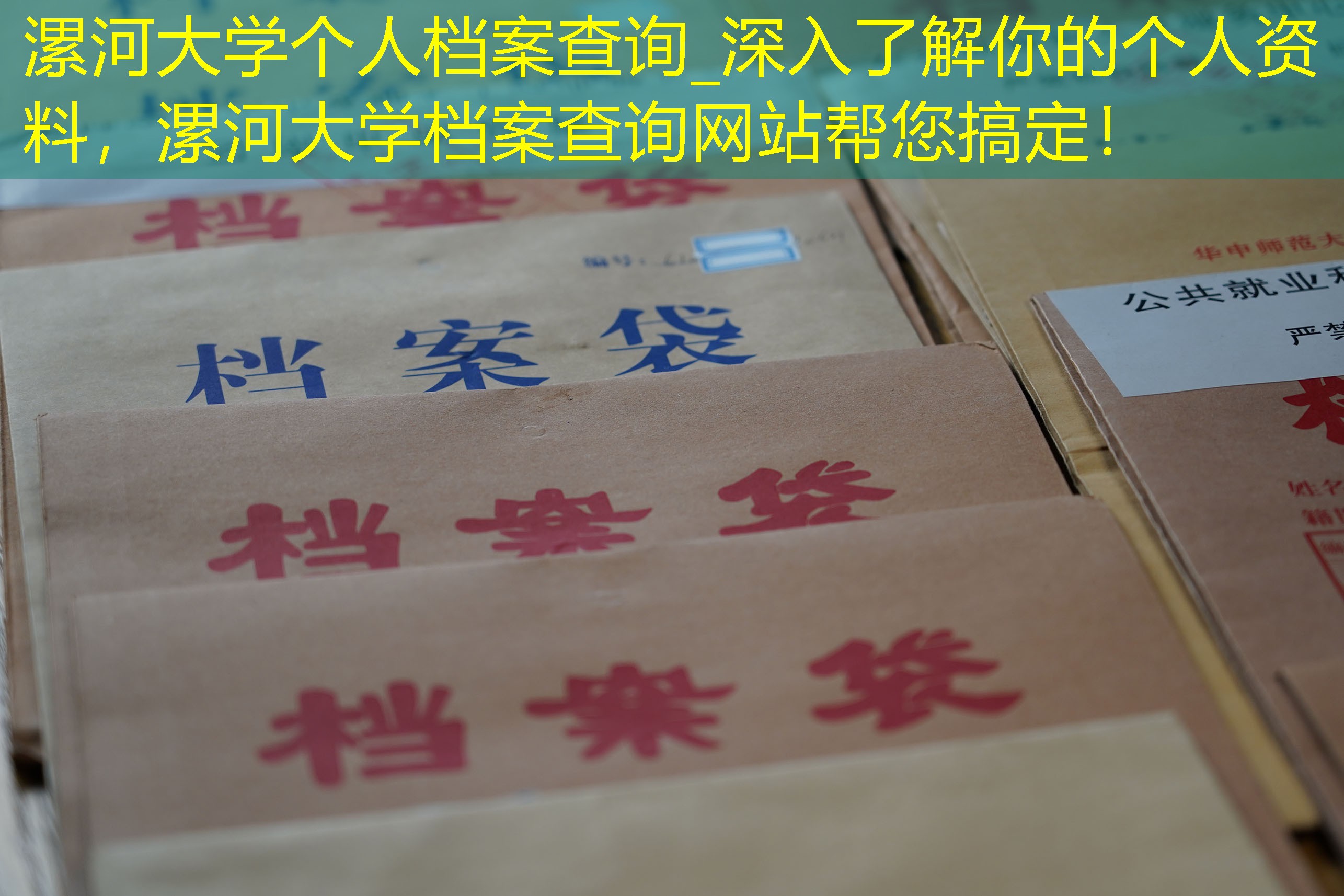 档案查询