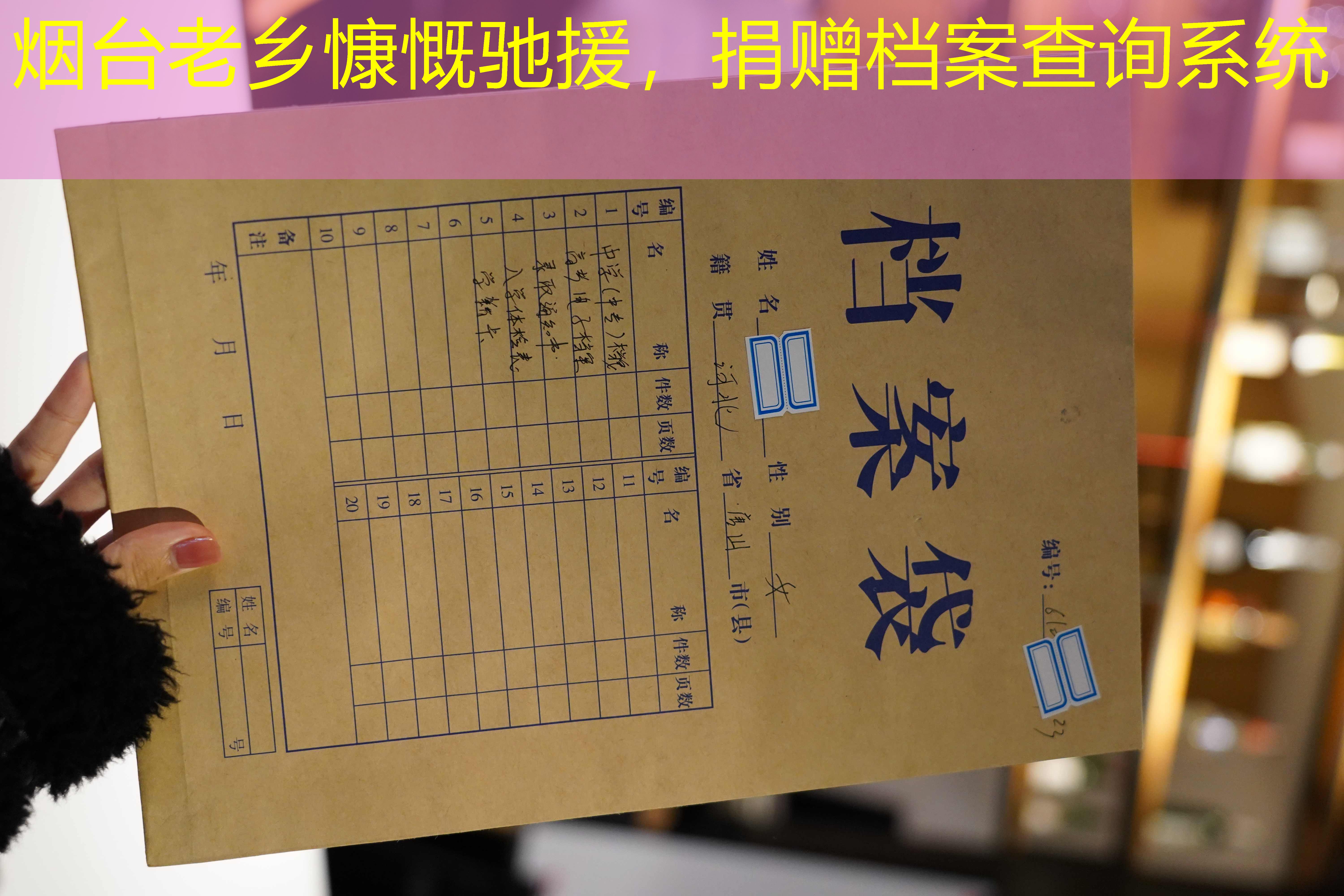 档案查询