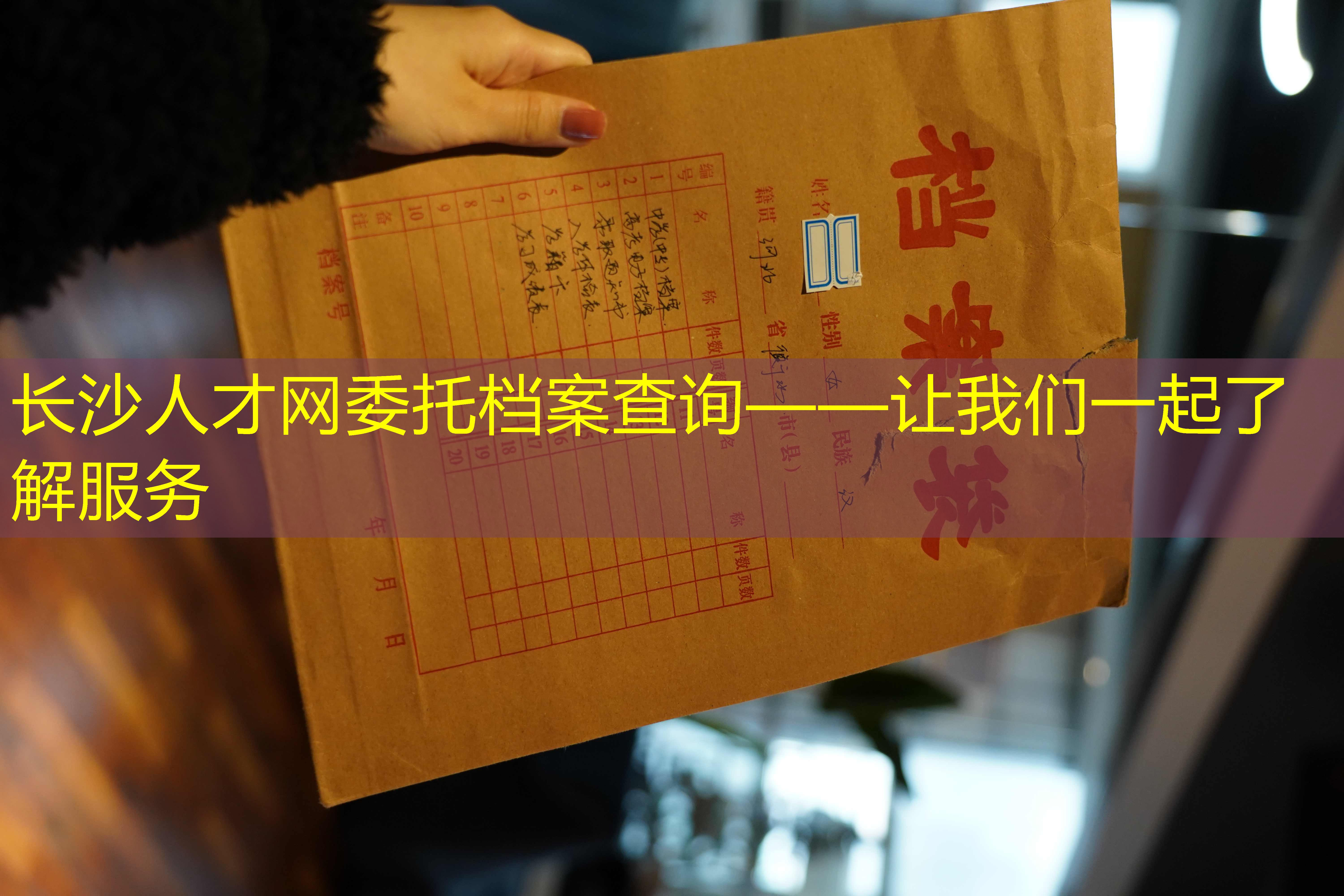 档案查询