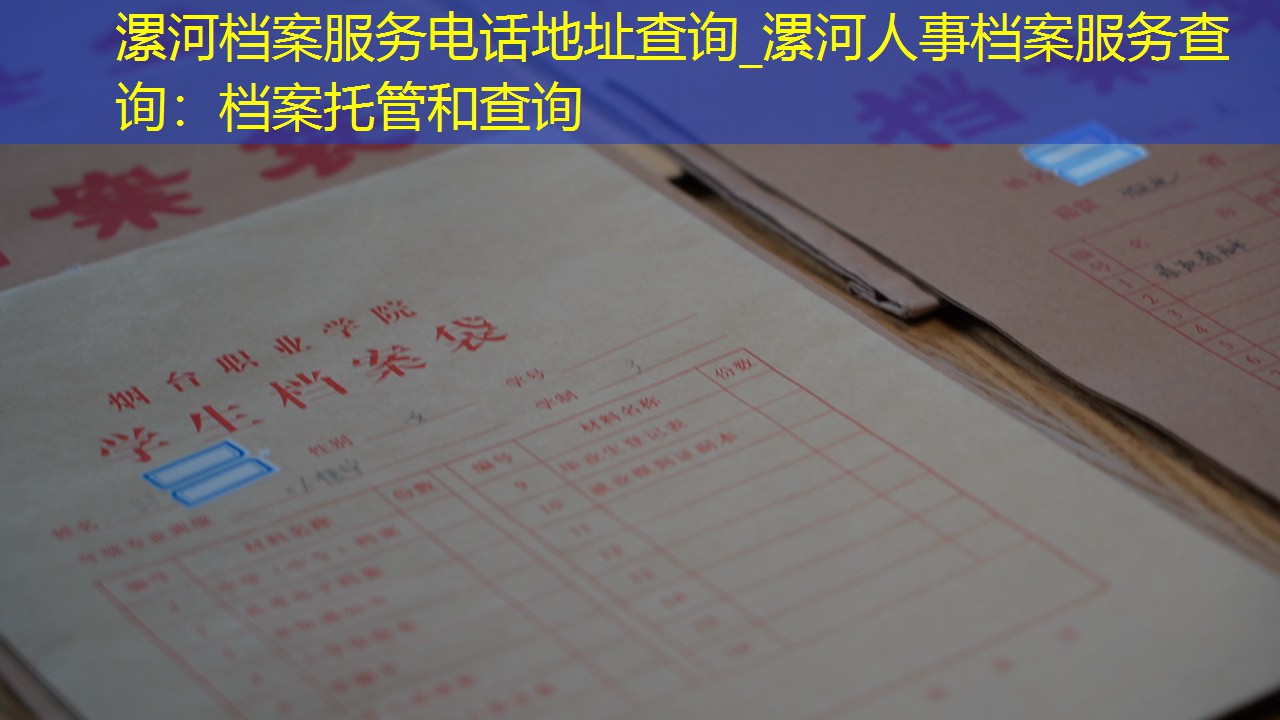 档案查询