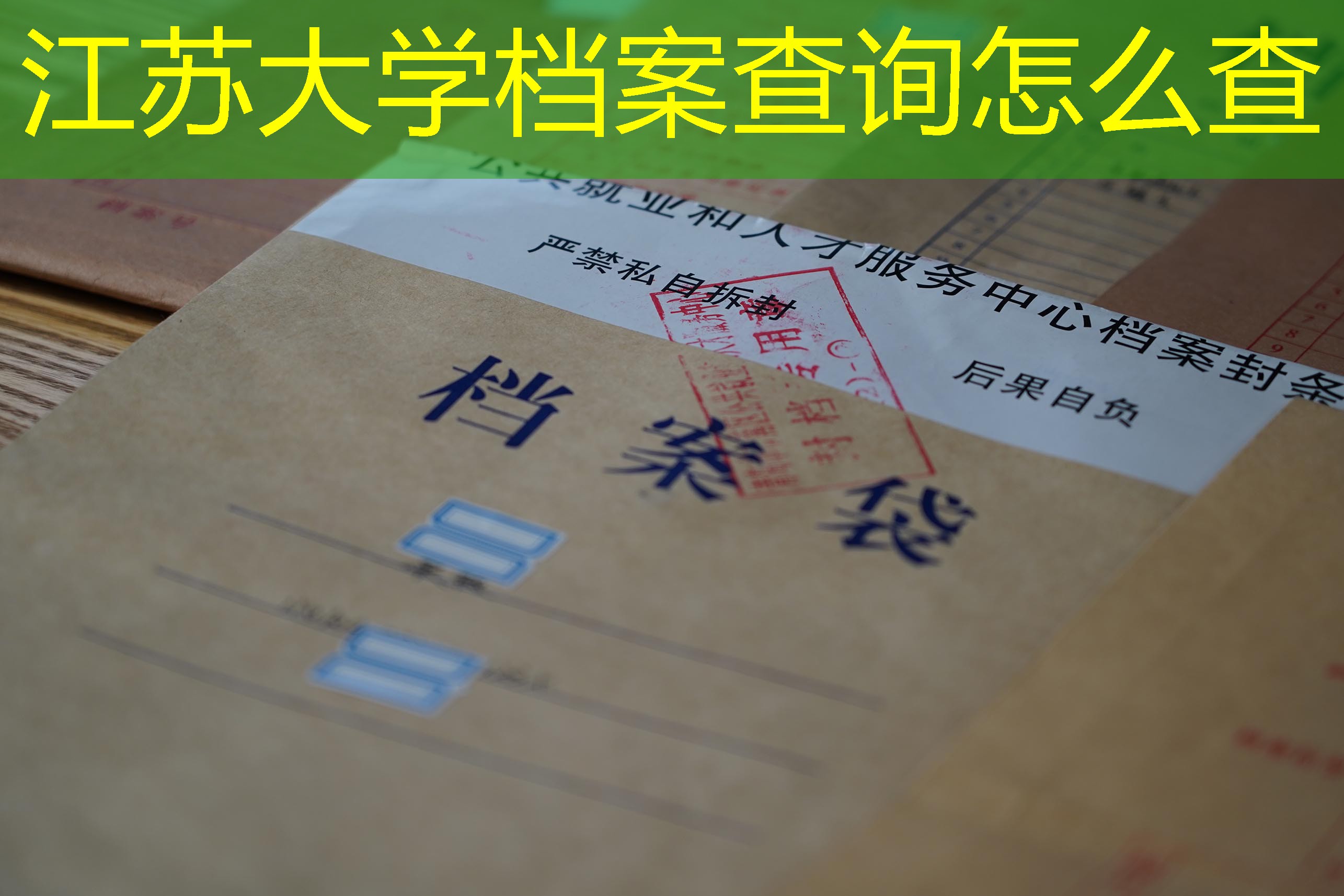 档案查询