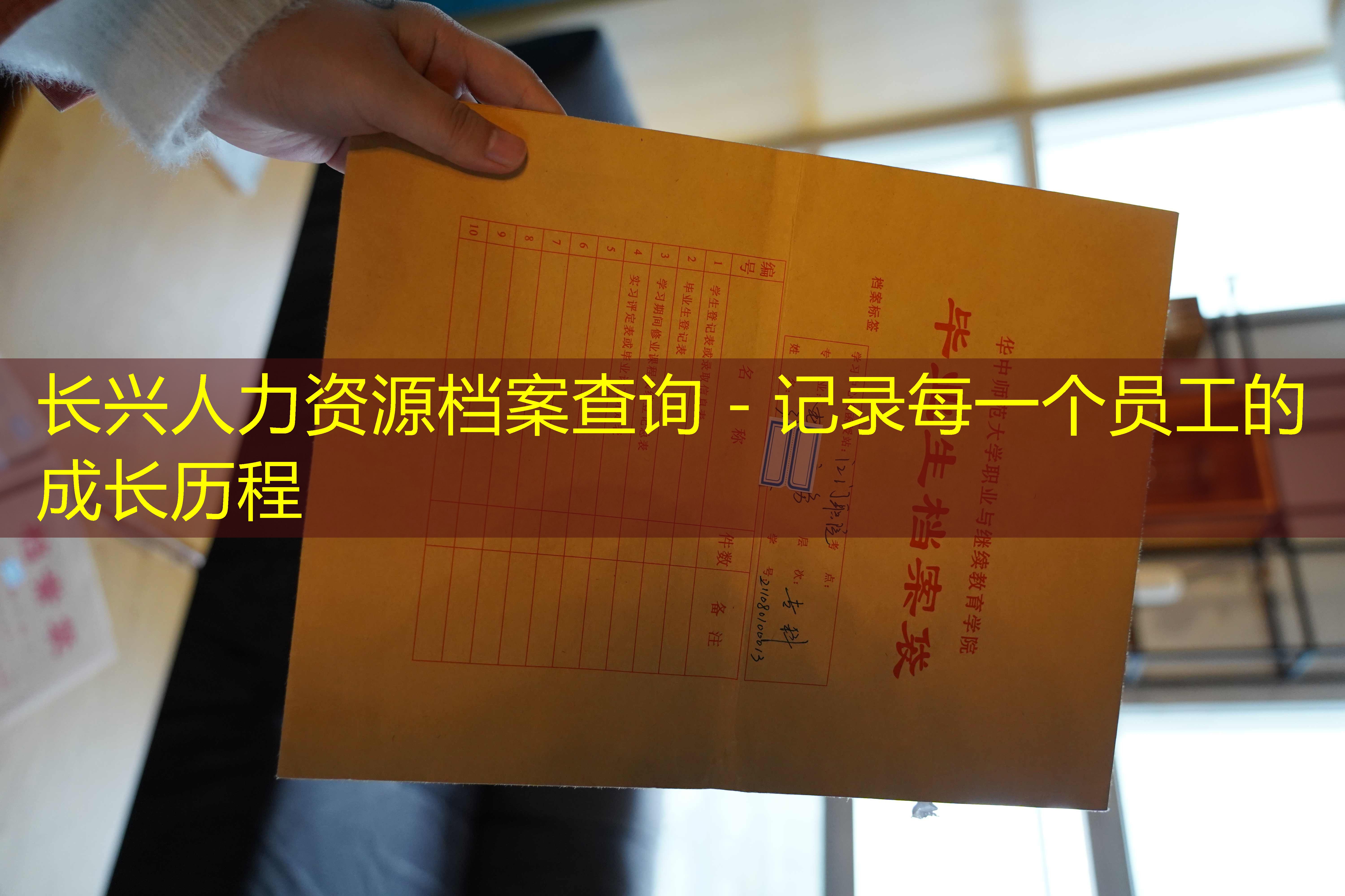 档案查询