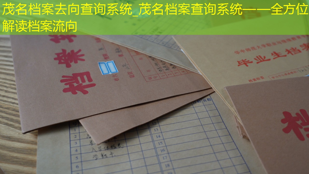 档案查询
