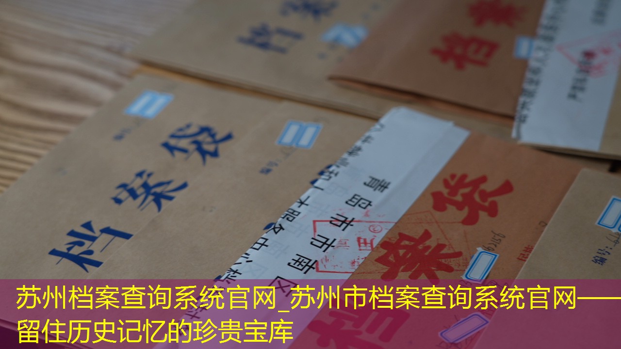 档案查询
