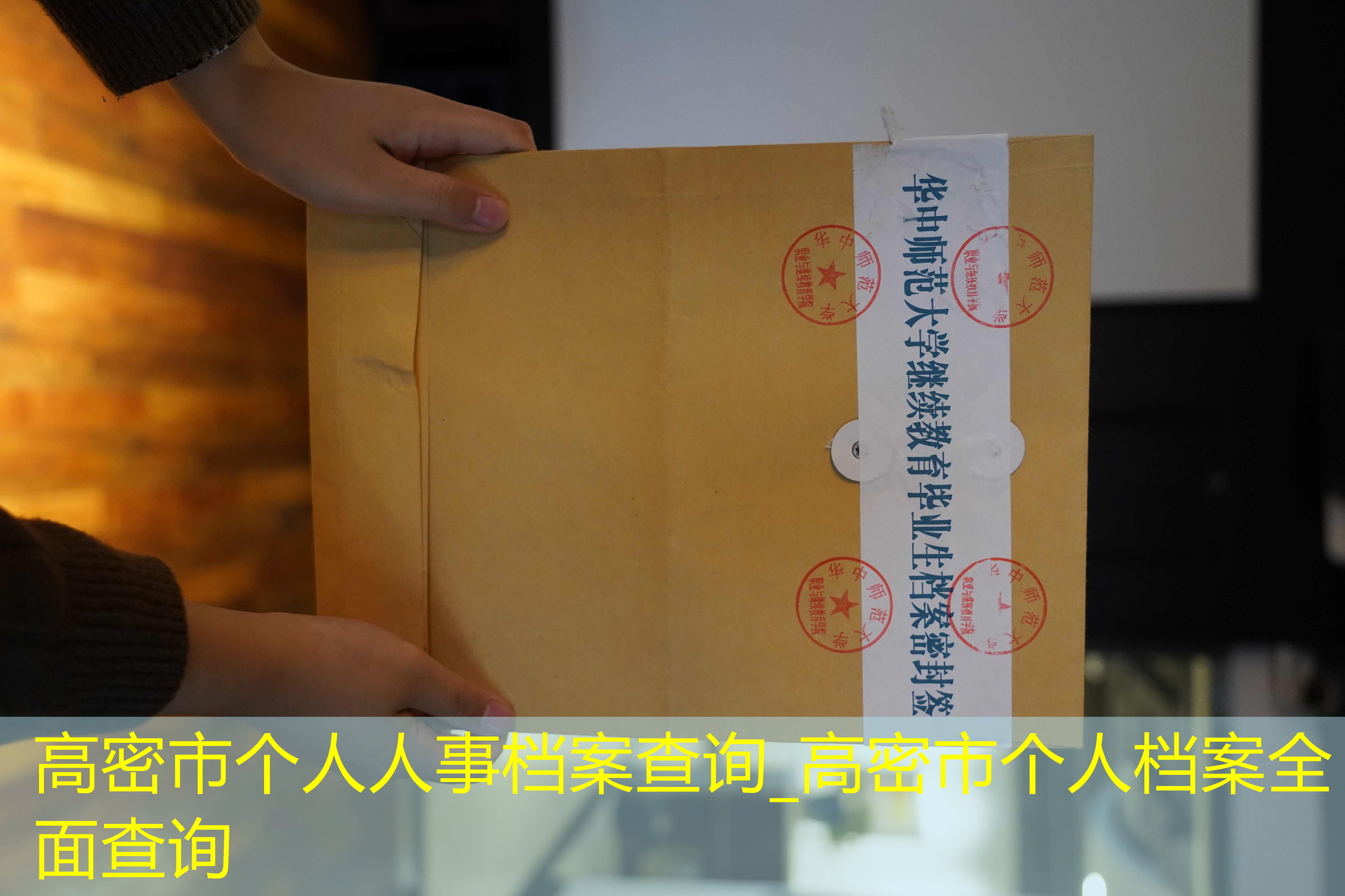 档案查询