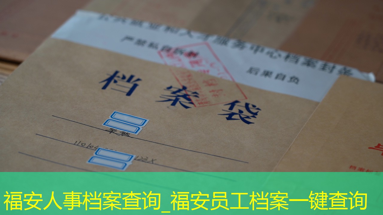 档案查询