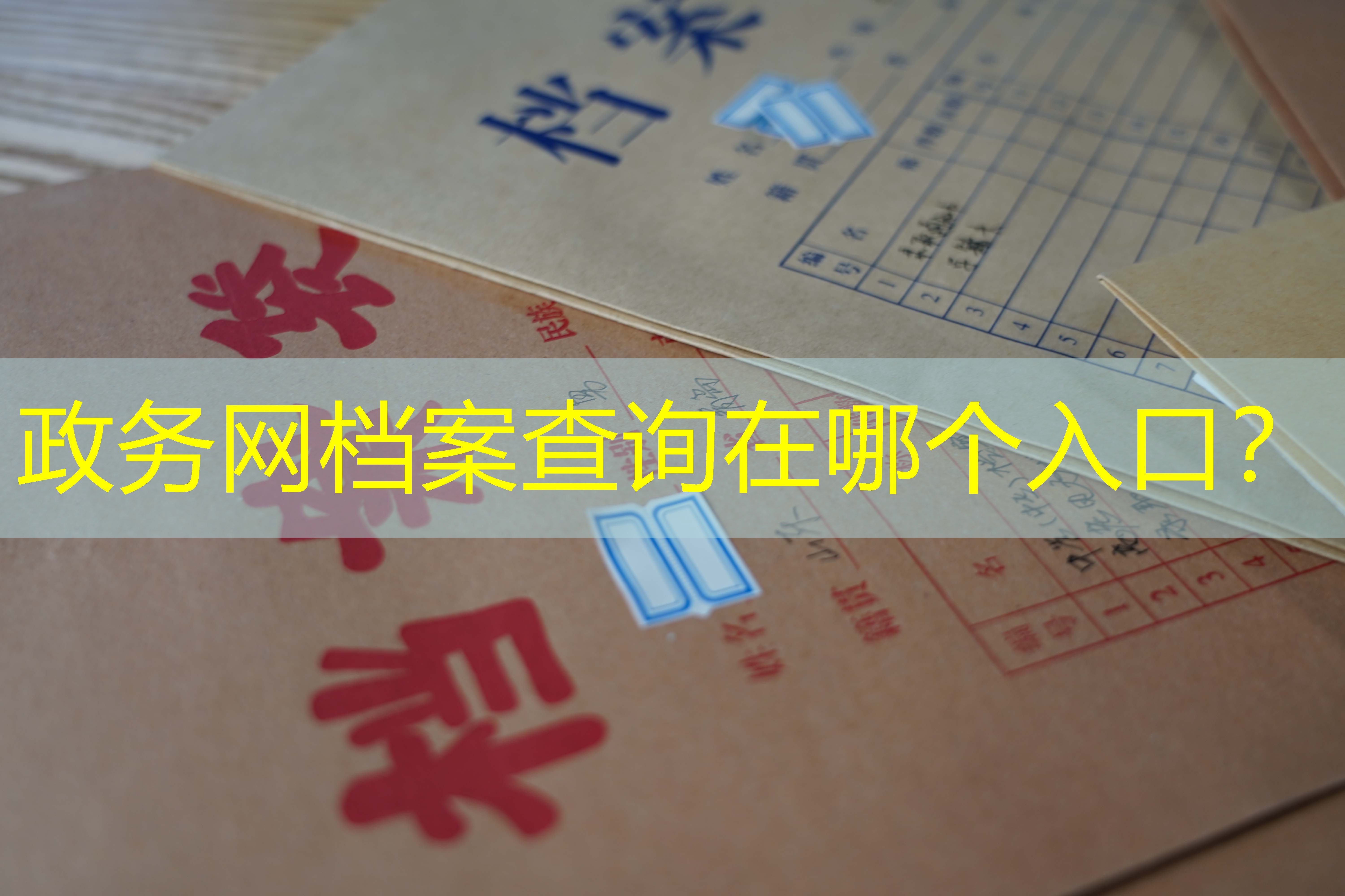 档案查询