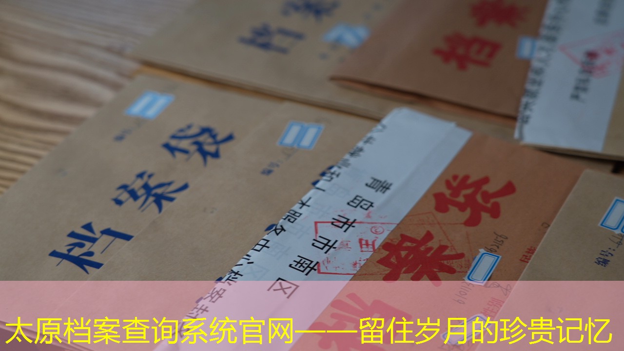 档案查询