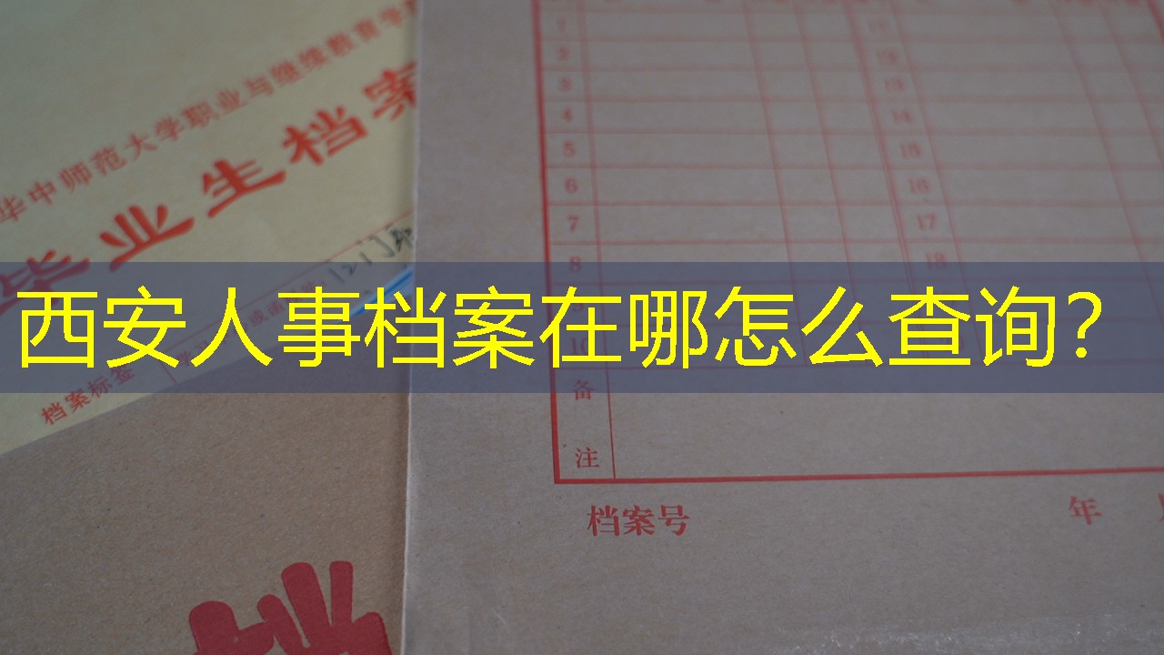 档案查询