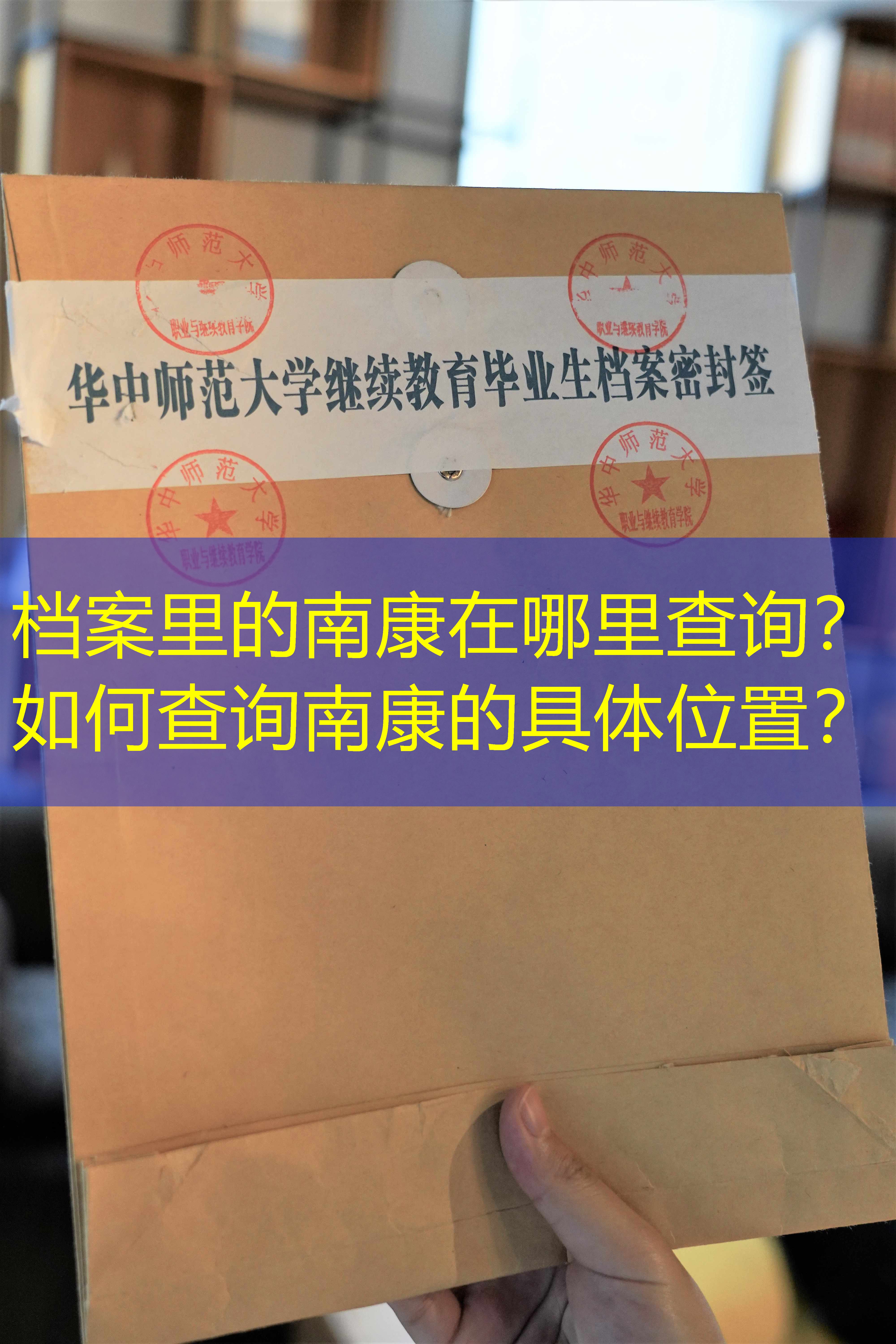 档案查询