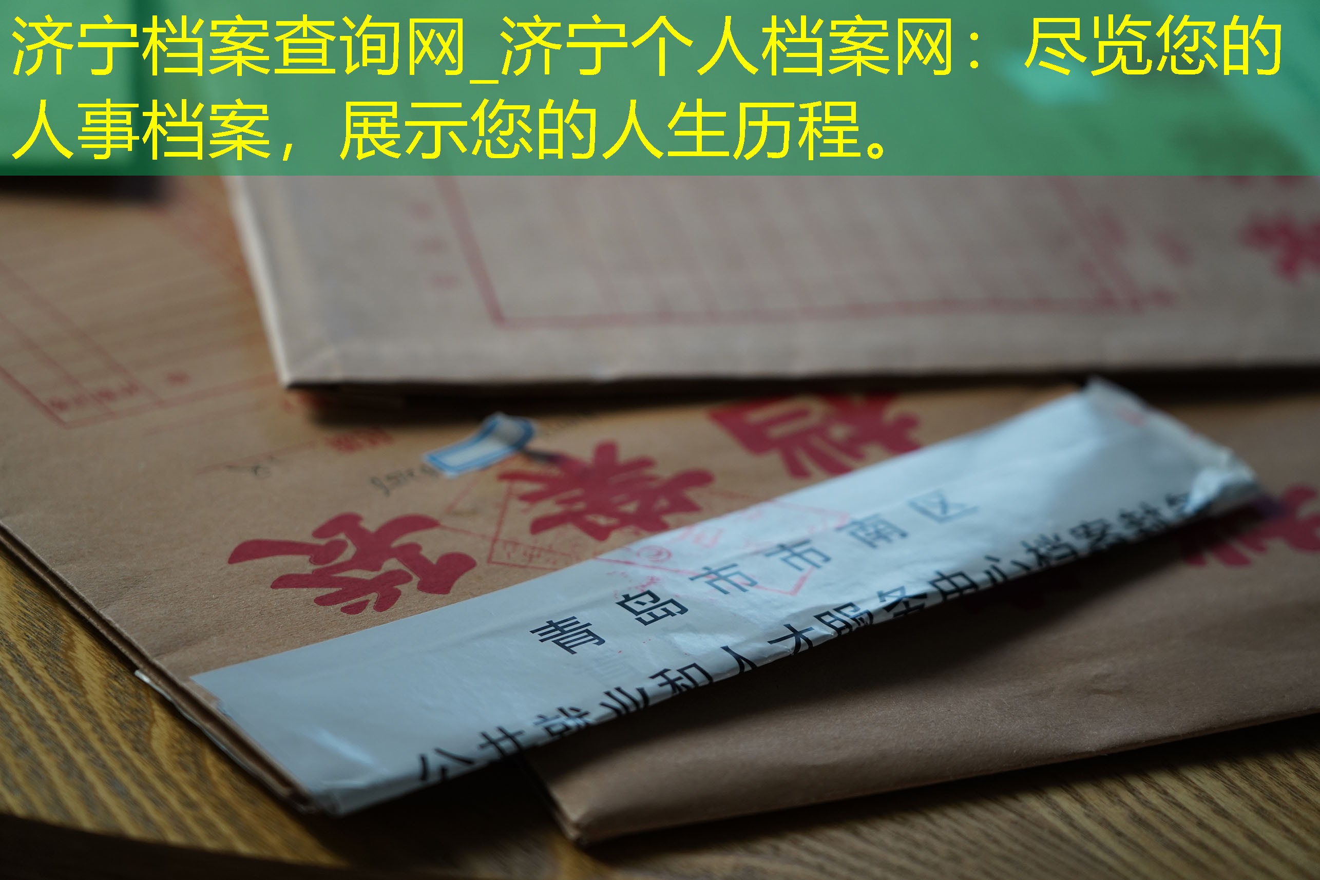 档案查询