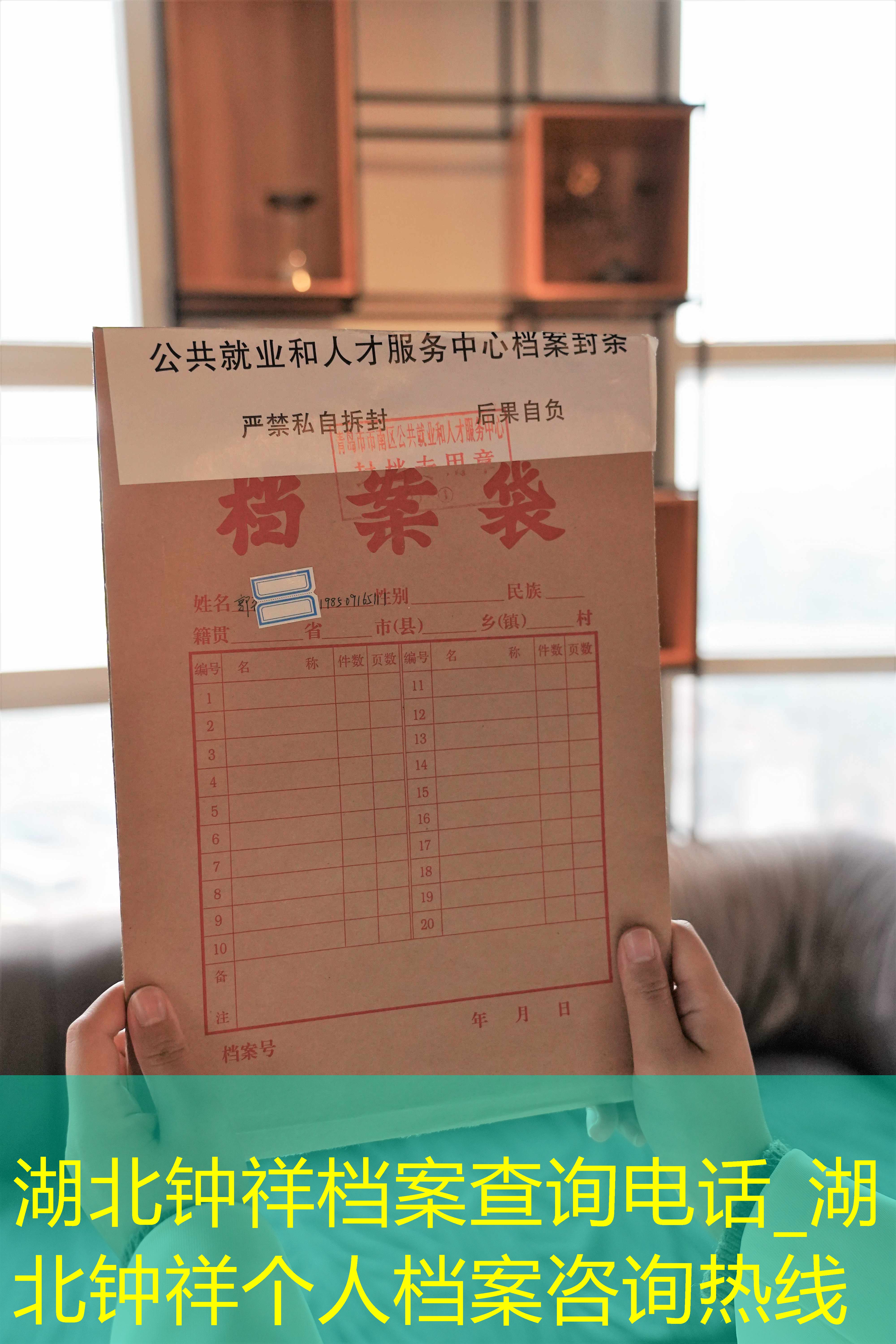 档案查询
