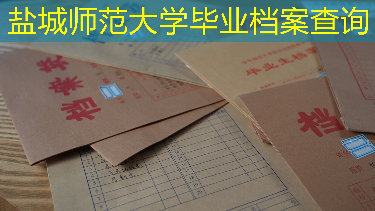 档案查询