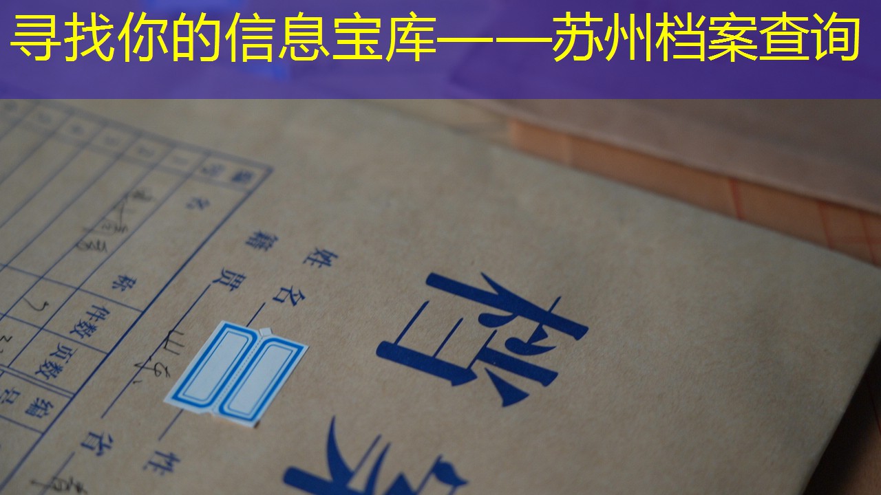 档案查询