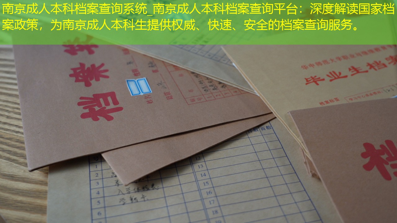 档案查询
