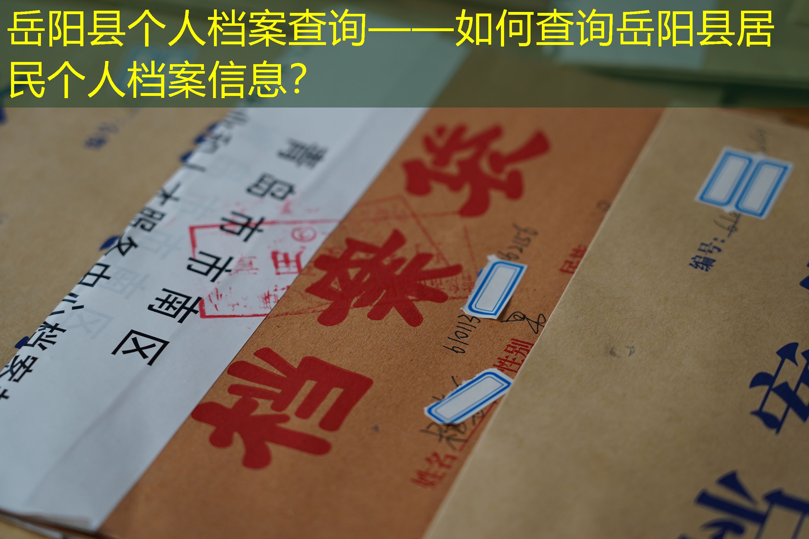 档案查询