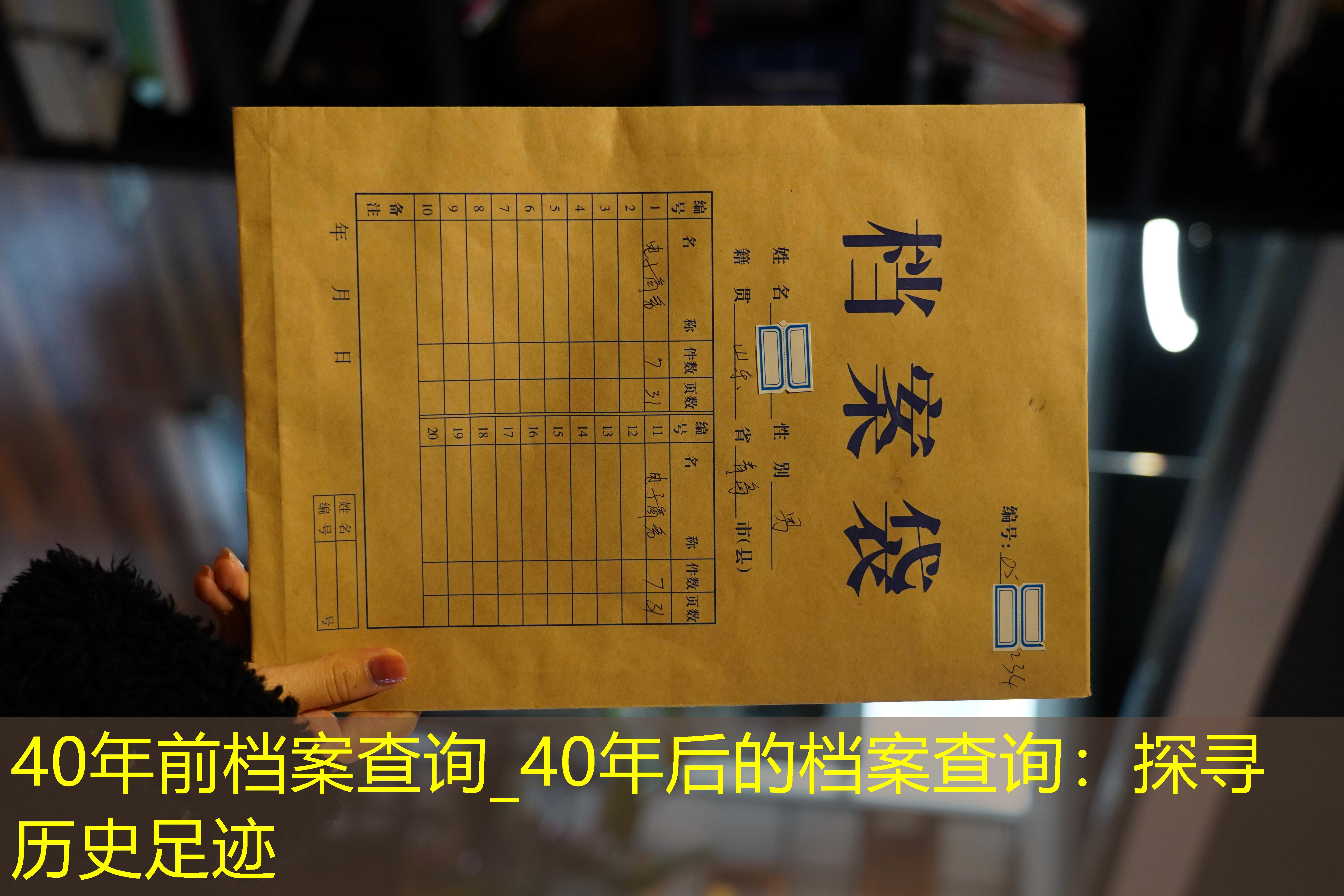 档案查询