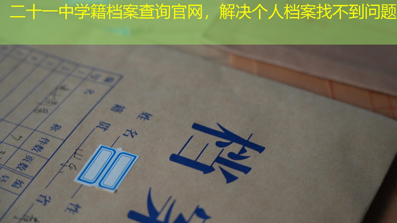 档案查询