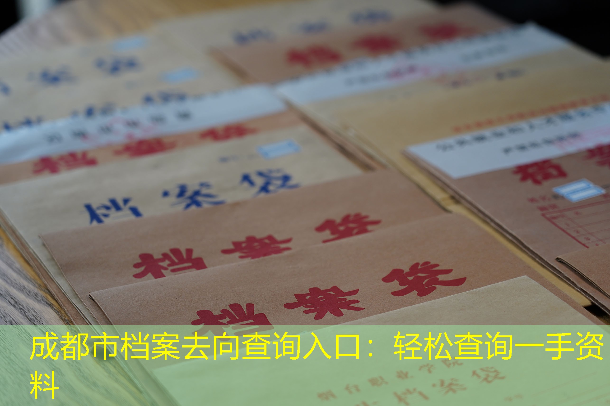 档案查询