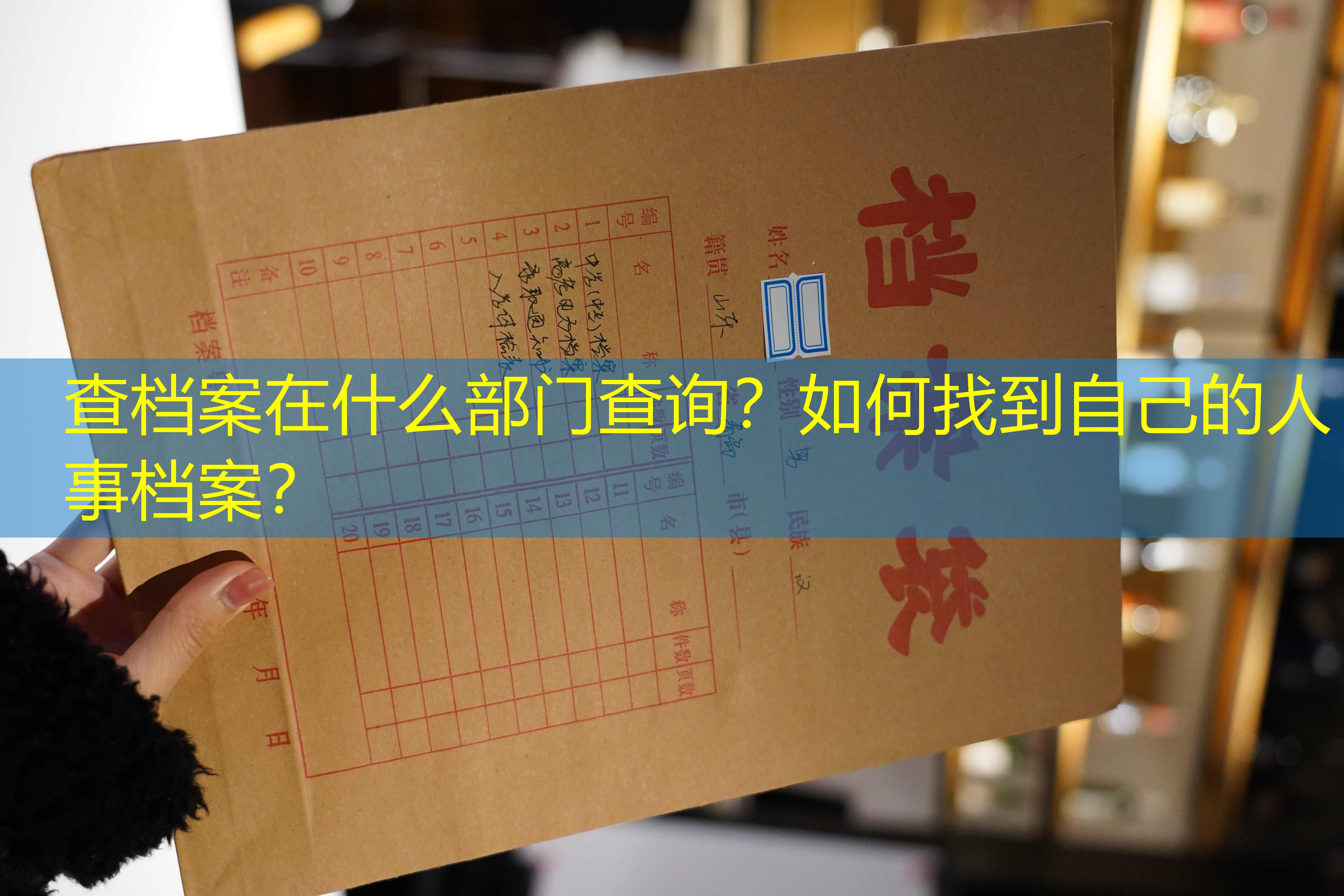 档案查询