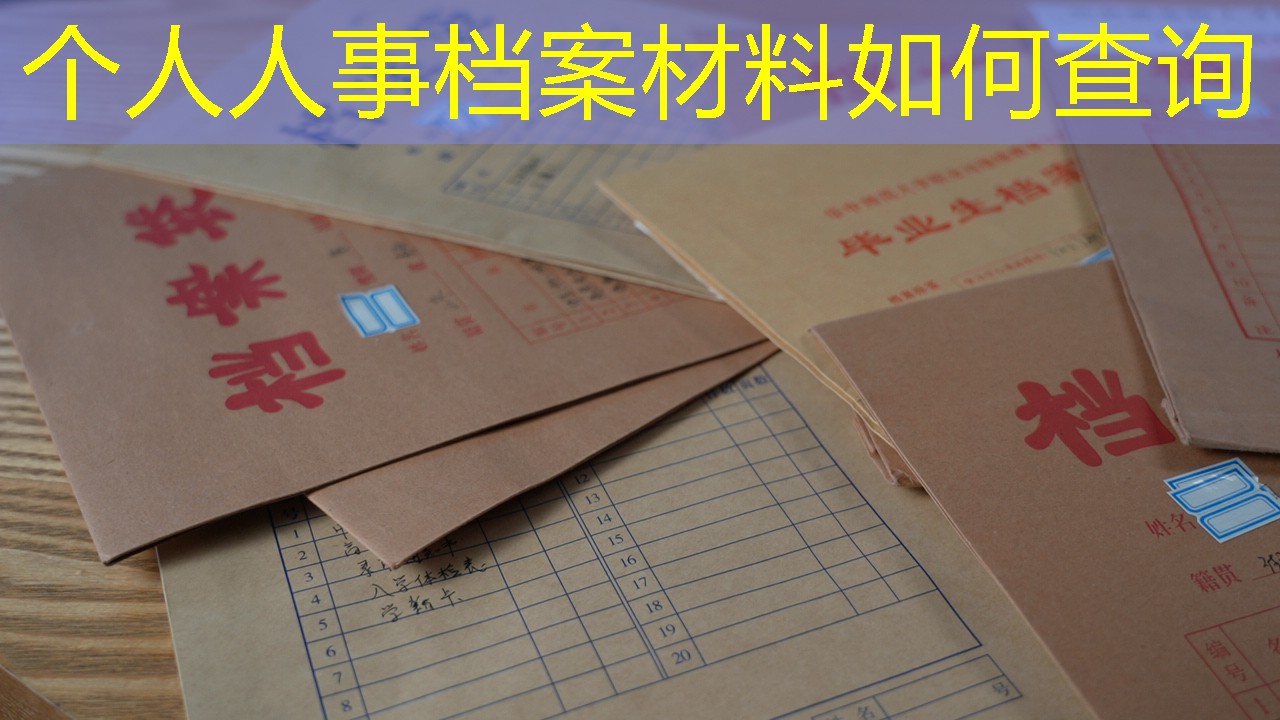 档案查询