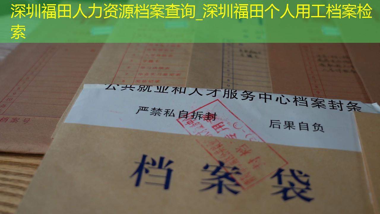 档案查询
