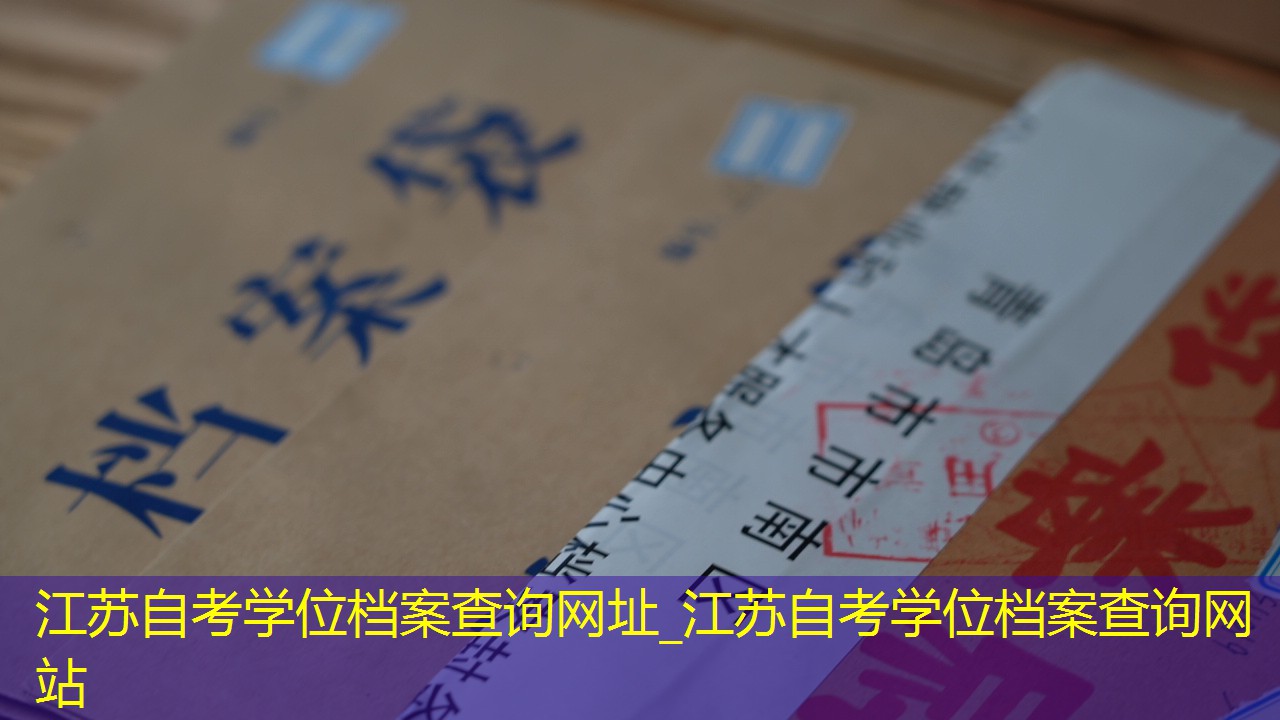 档案查询
