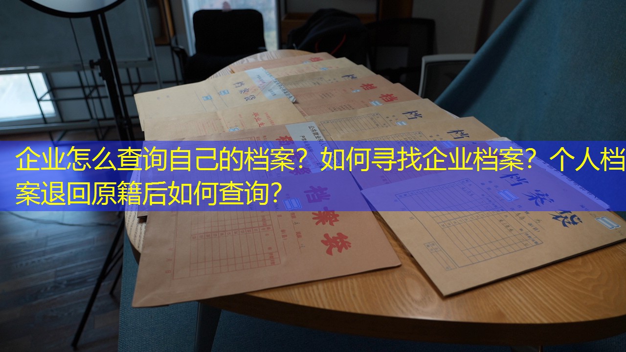 档案查询